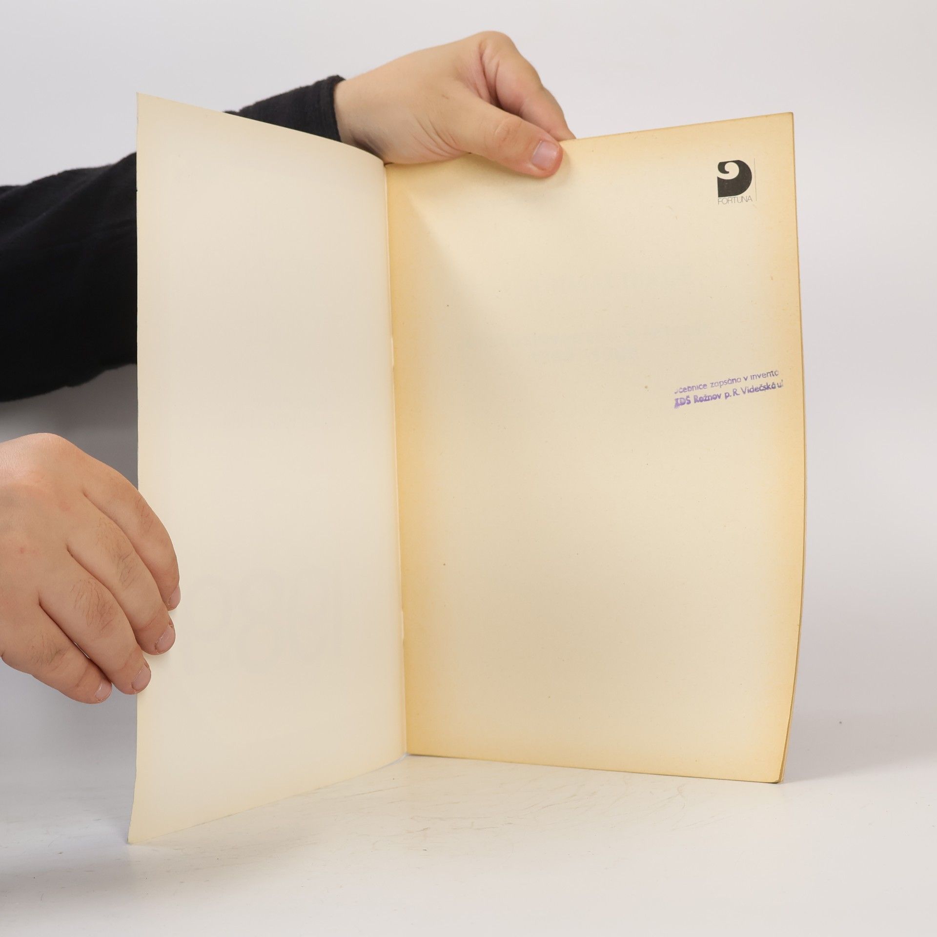 Autorenkollektiv Historie v nepokřiveném zrcadle. Československo v letech 1968-1989