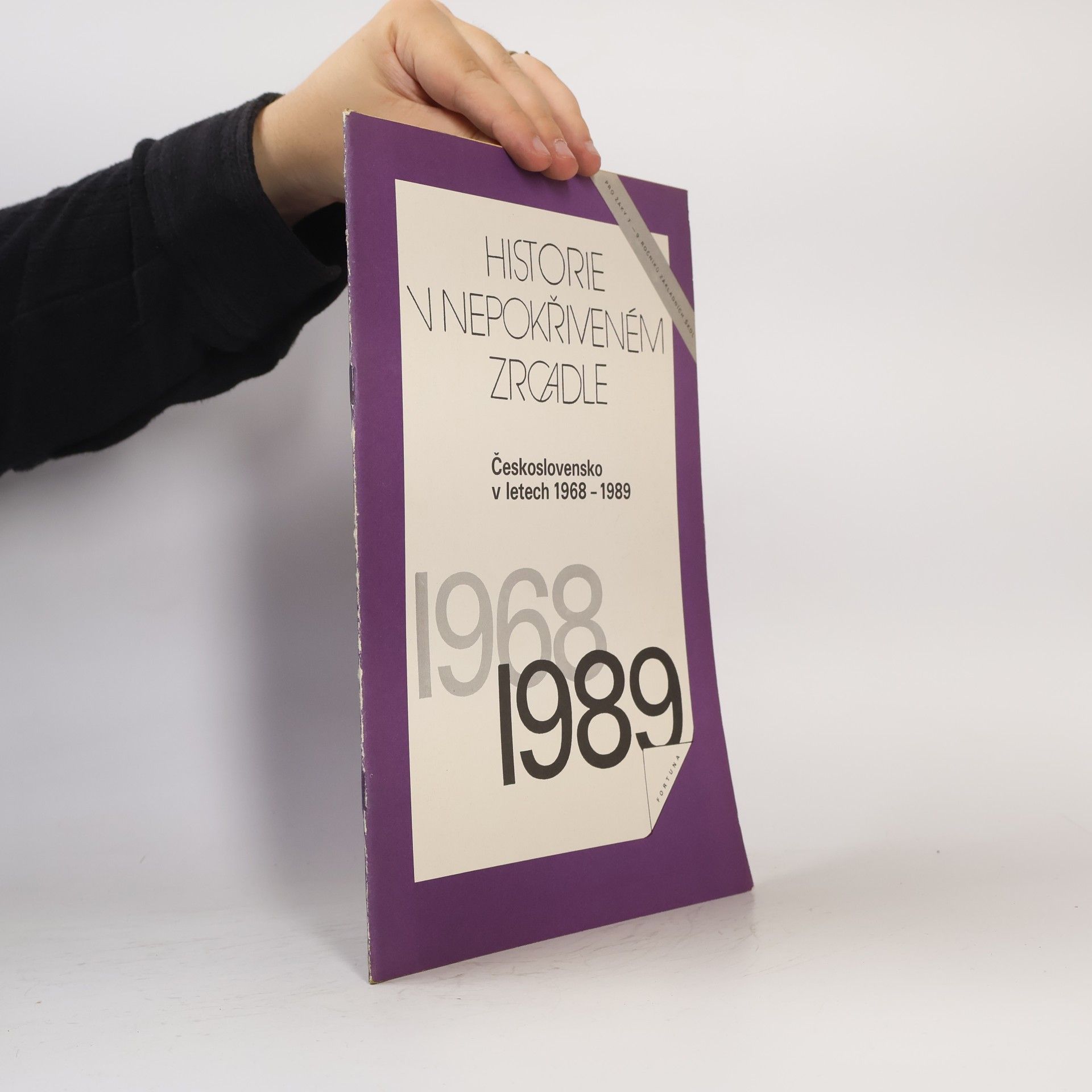 Autorenkollektiv Historie v nepokřiveném zrcadle. Československo v letech 1968-1989