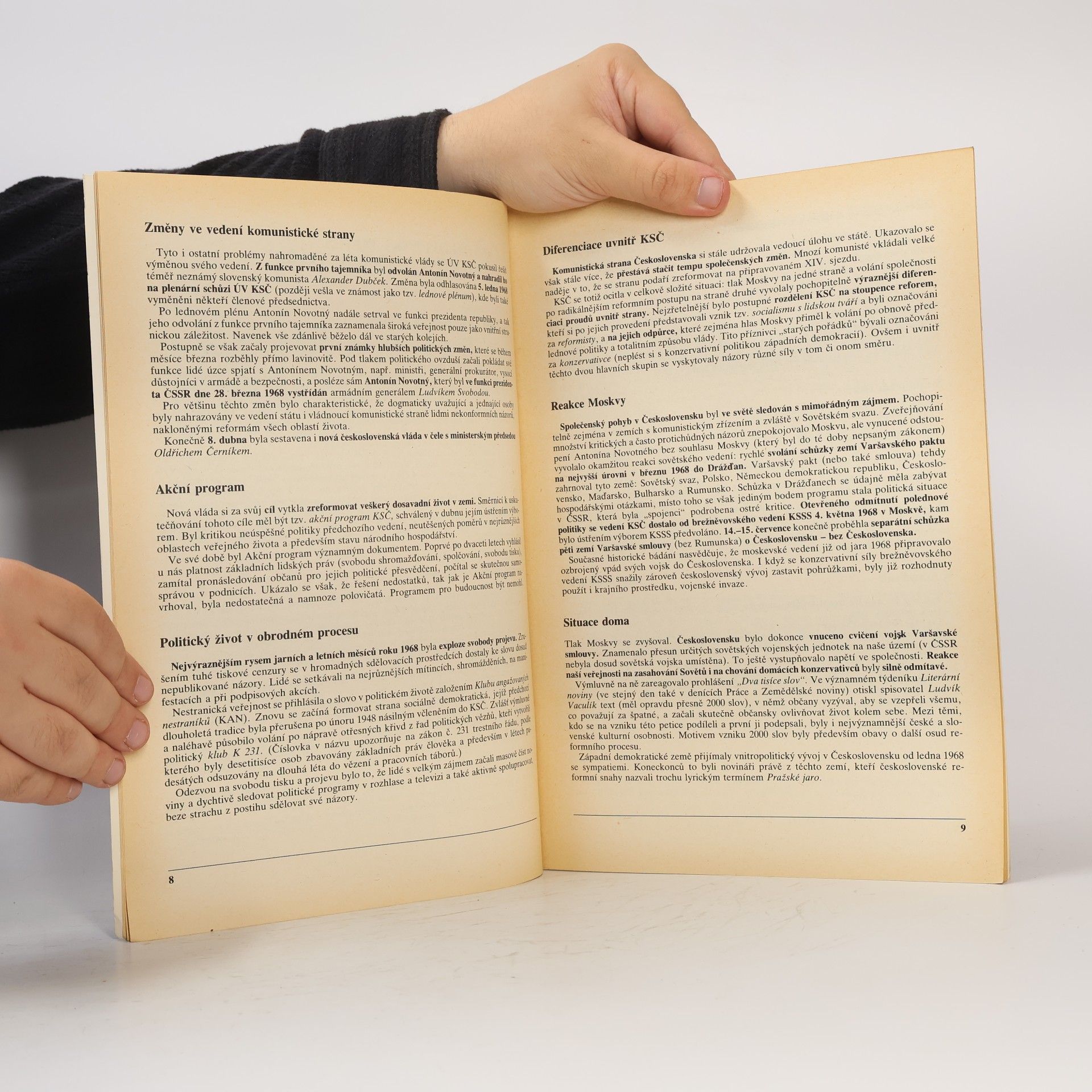 Autorenkollektiv Historie v nepokřiveném zrcadle. Československo v letech 1968-1989