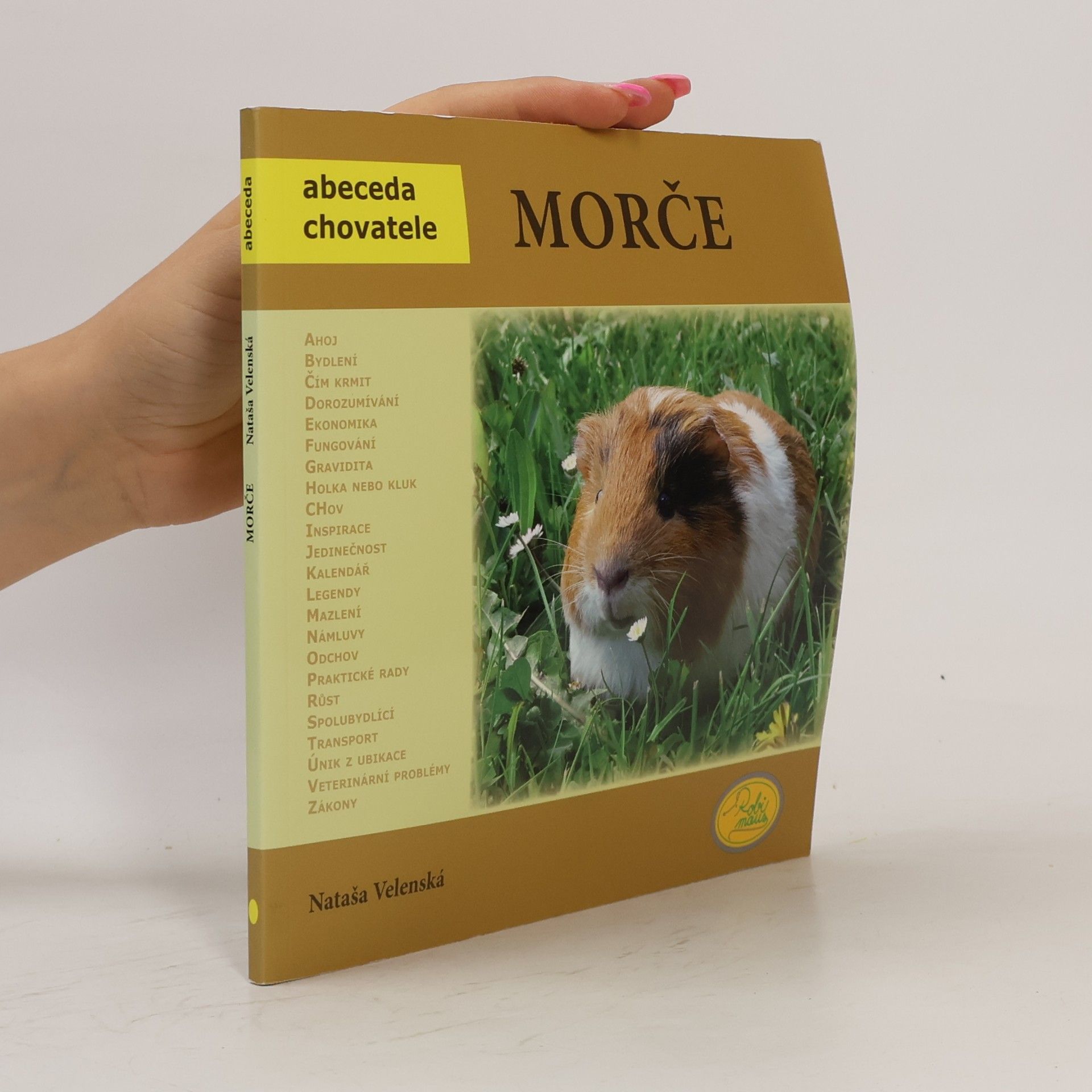 Morče