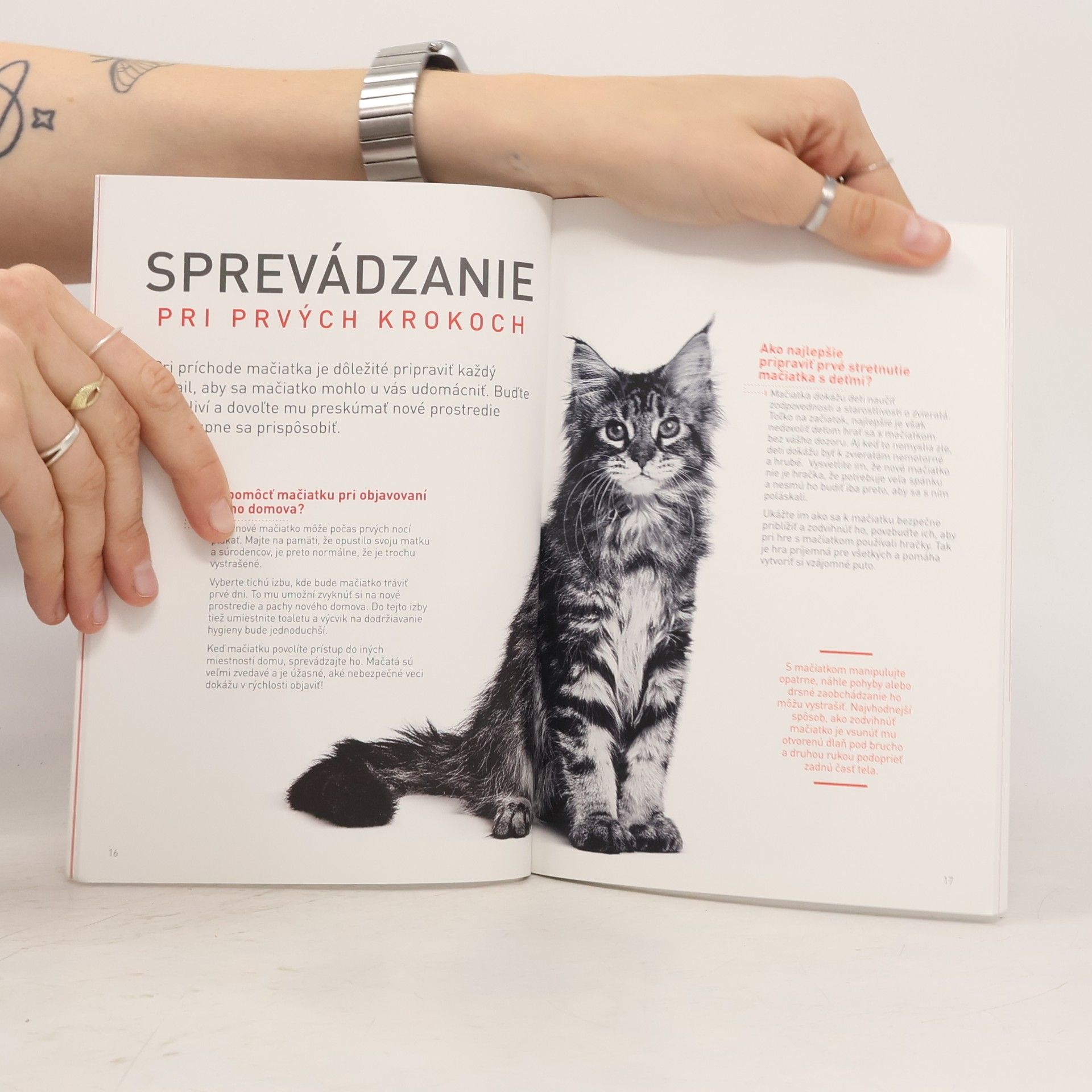 Autorenkollektiv Sprievodca životom mačiatka