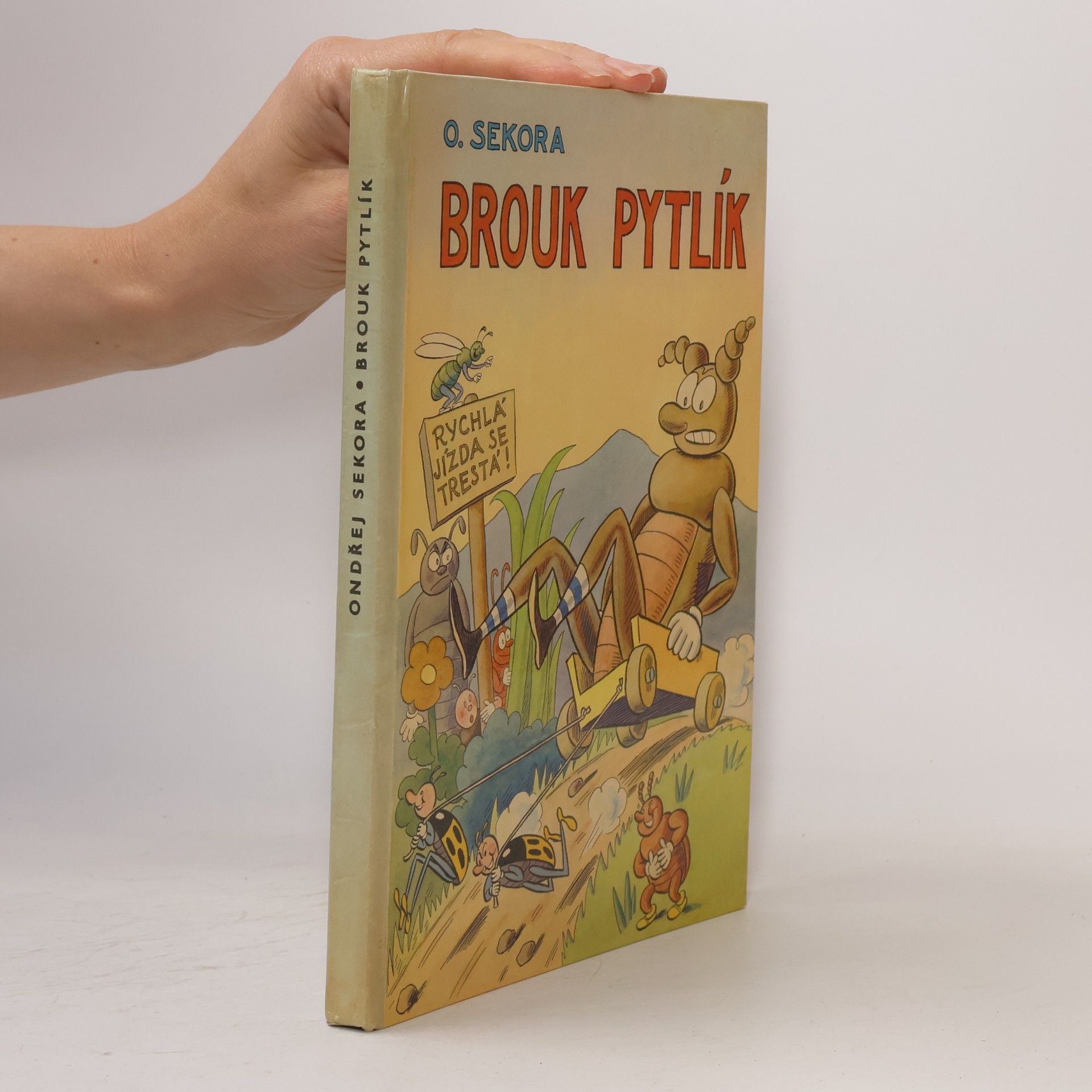 Brouk Pytlík