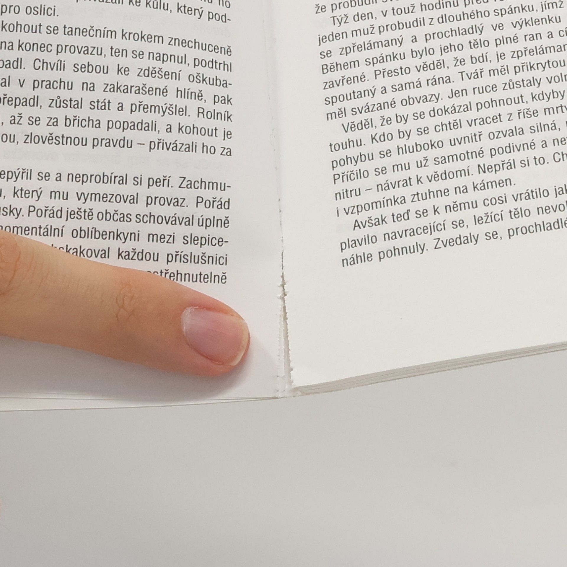 David Herbert Lawrence Muž, který zemřel