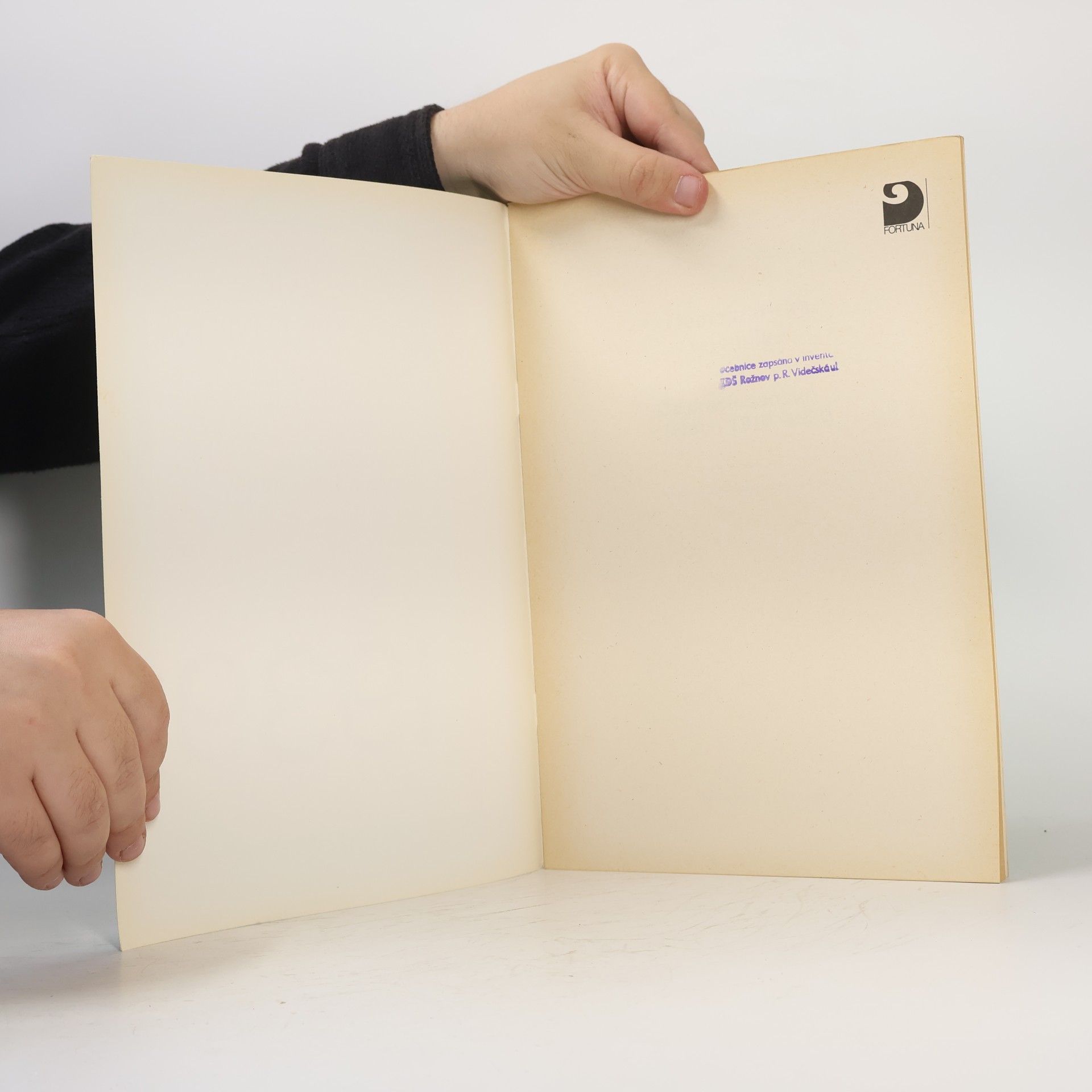 Kolektiv autorů Historie v nepokřiveném zrcadle
