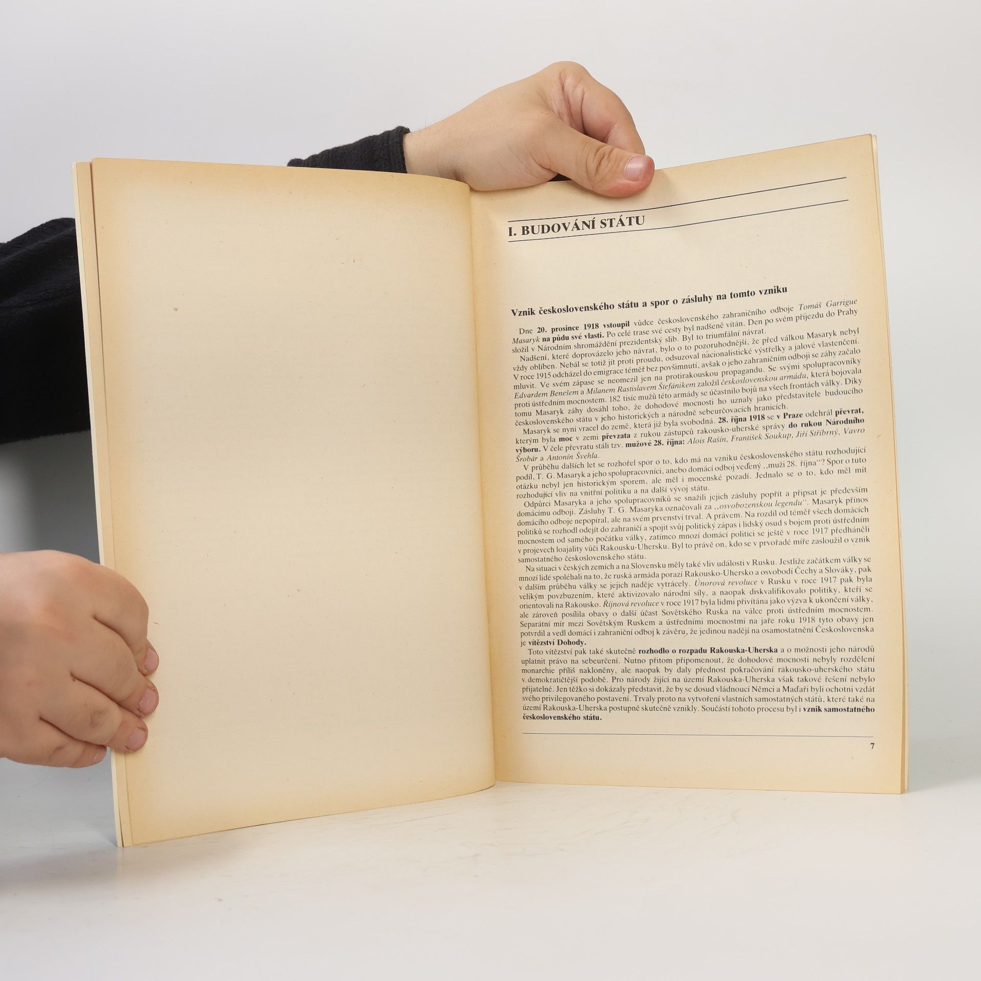 Kolektiv autorů Historie v nepokřiveném zrcadle