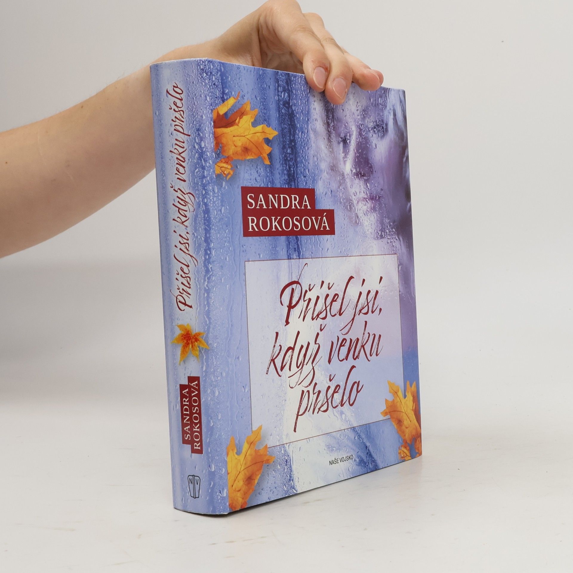 Sandra Rokosová Přišel jsi, když venku pršelo