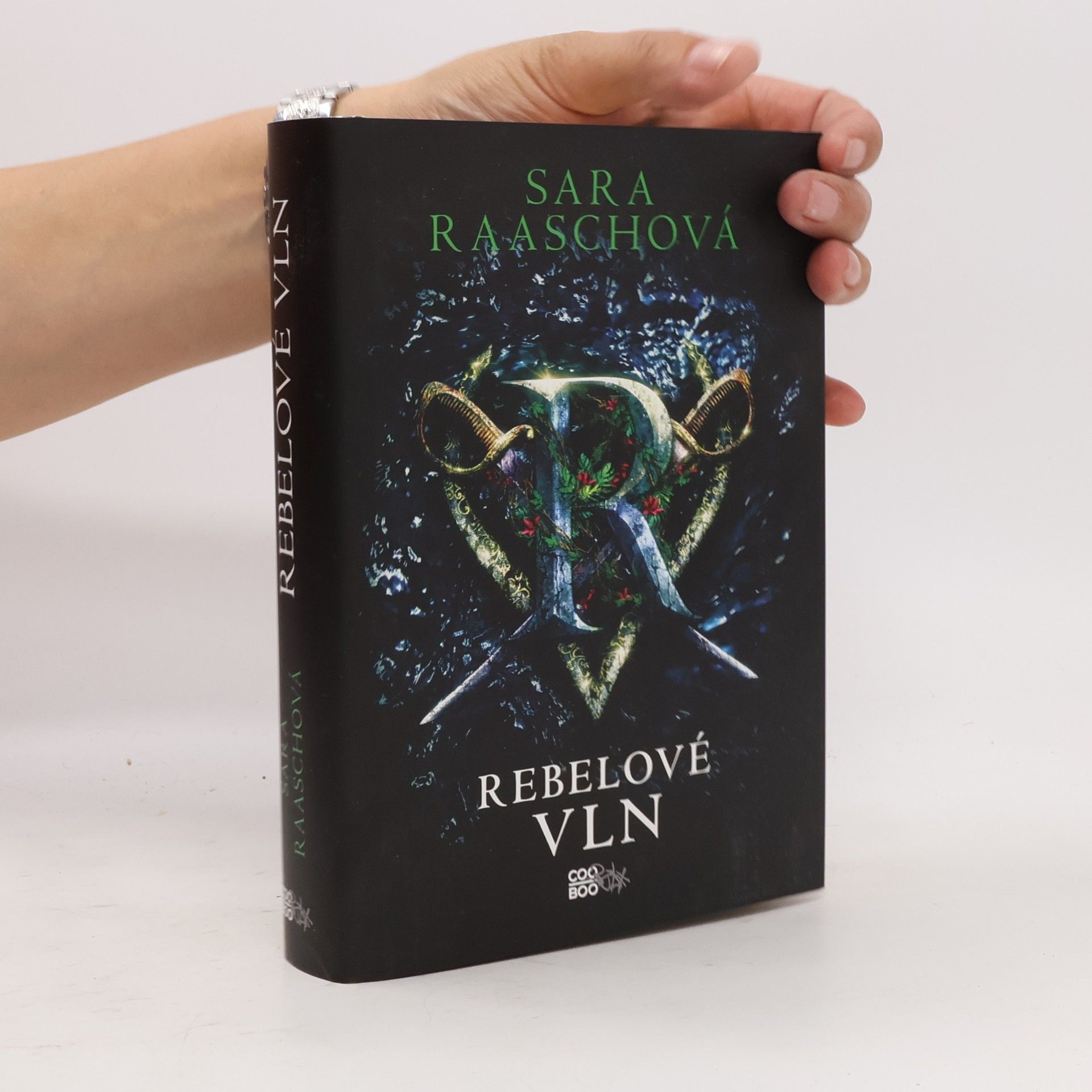 Sara Raasch Rebelové vln
