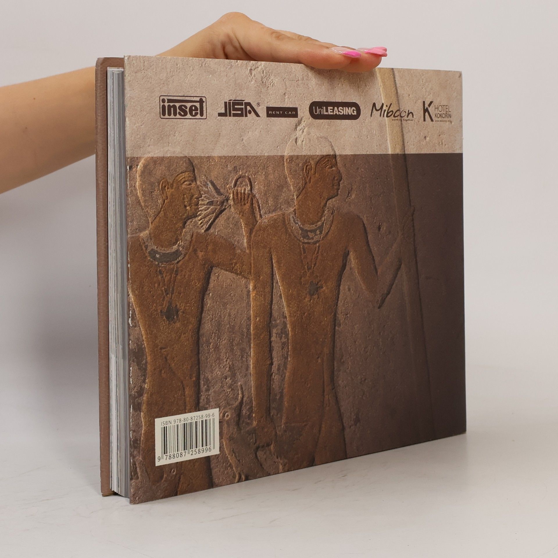 Miroslav Verner Poklady z písku : čeští egyptologové objevují civilizace na Nilu