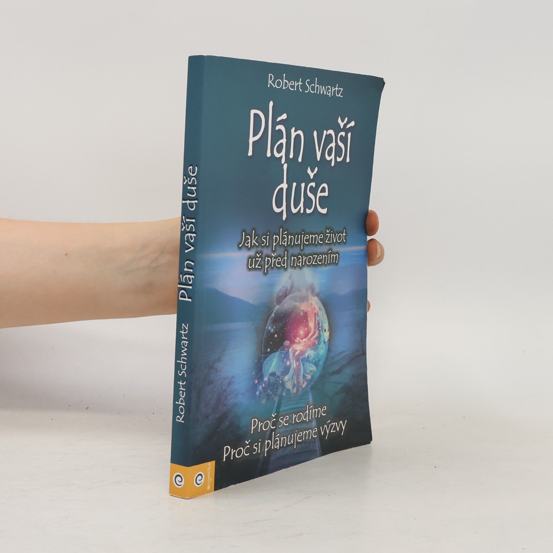 Zuzana Šestáková Plán vaší duše. Jak si plánujeme život už před narozením