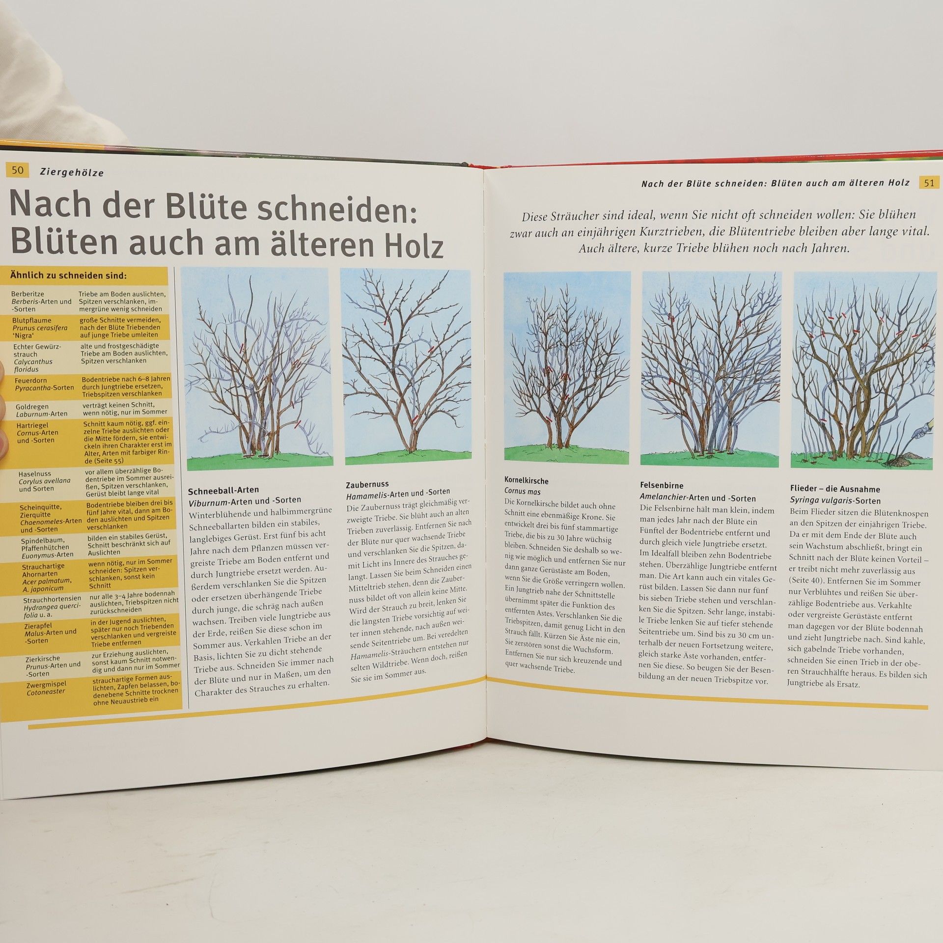 Hansjörg Haas Pflanzenschnitt