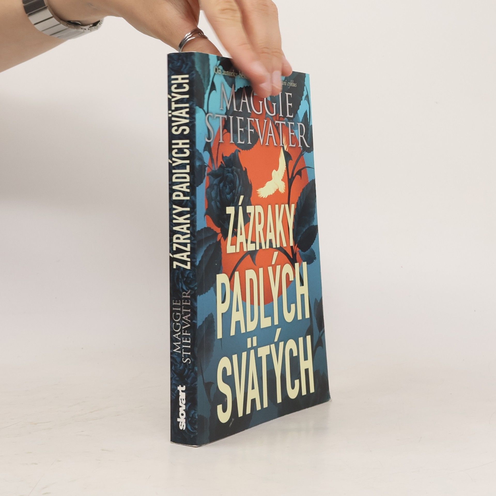 Maggie Stiefvater Zázraky padlých svätých