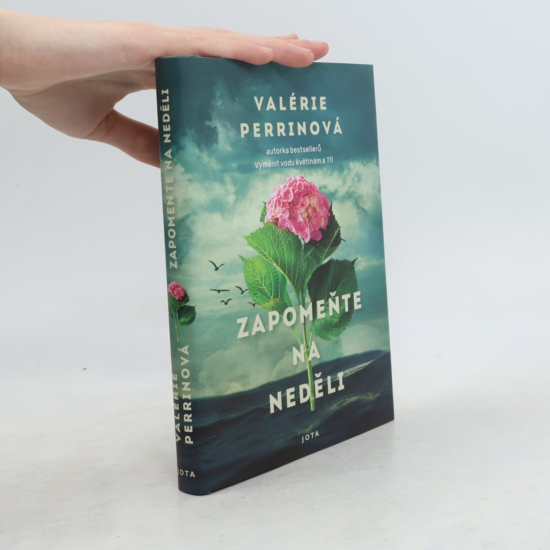 Valérie Perrin Zapomeňte na neděli