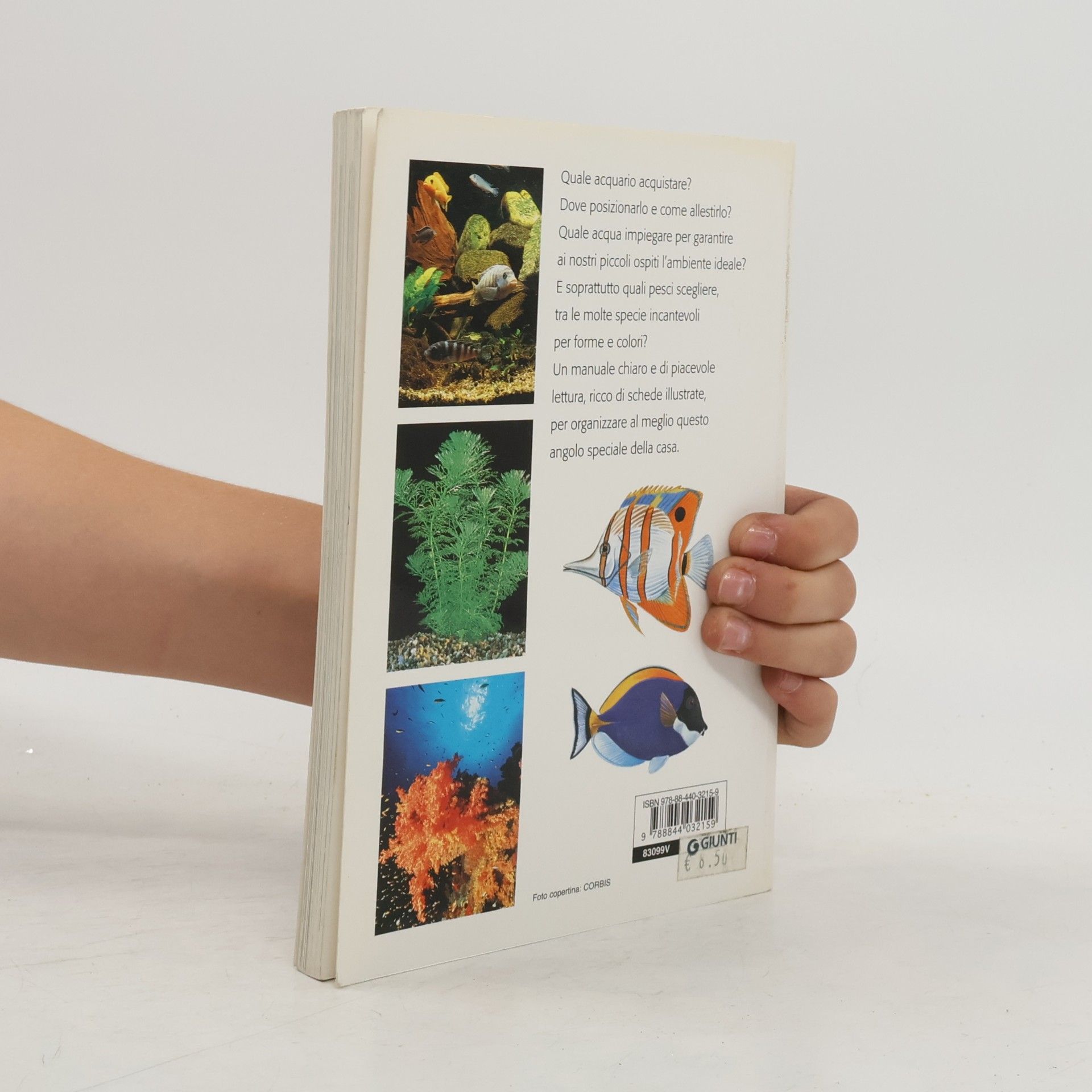 Sergio Melotto Piccole perle: Acquario. Manuale pratico