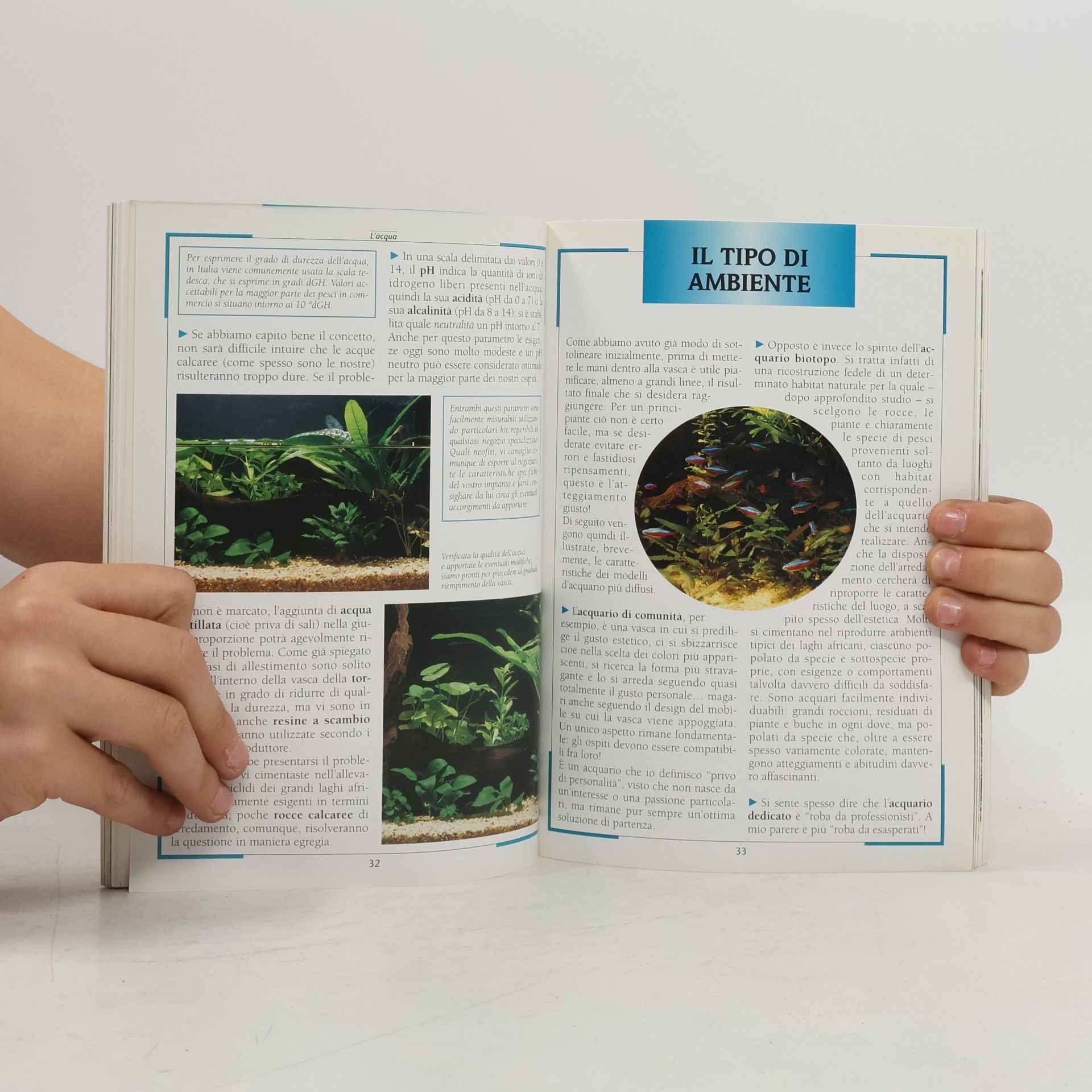 Sergio Melotto Piccole perle: Acquario. Manuale pratico