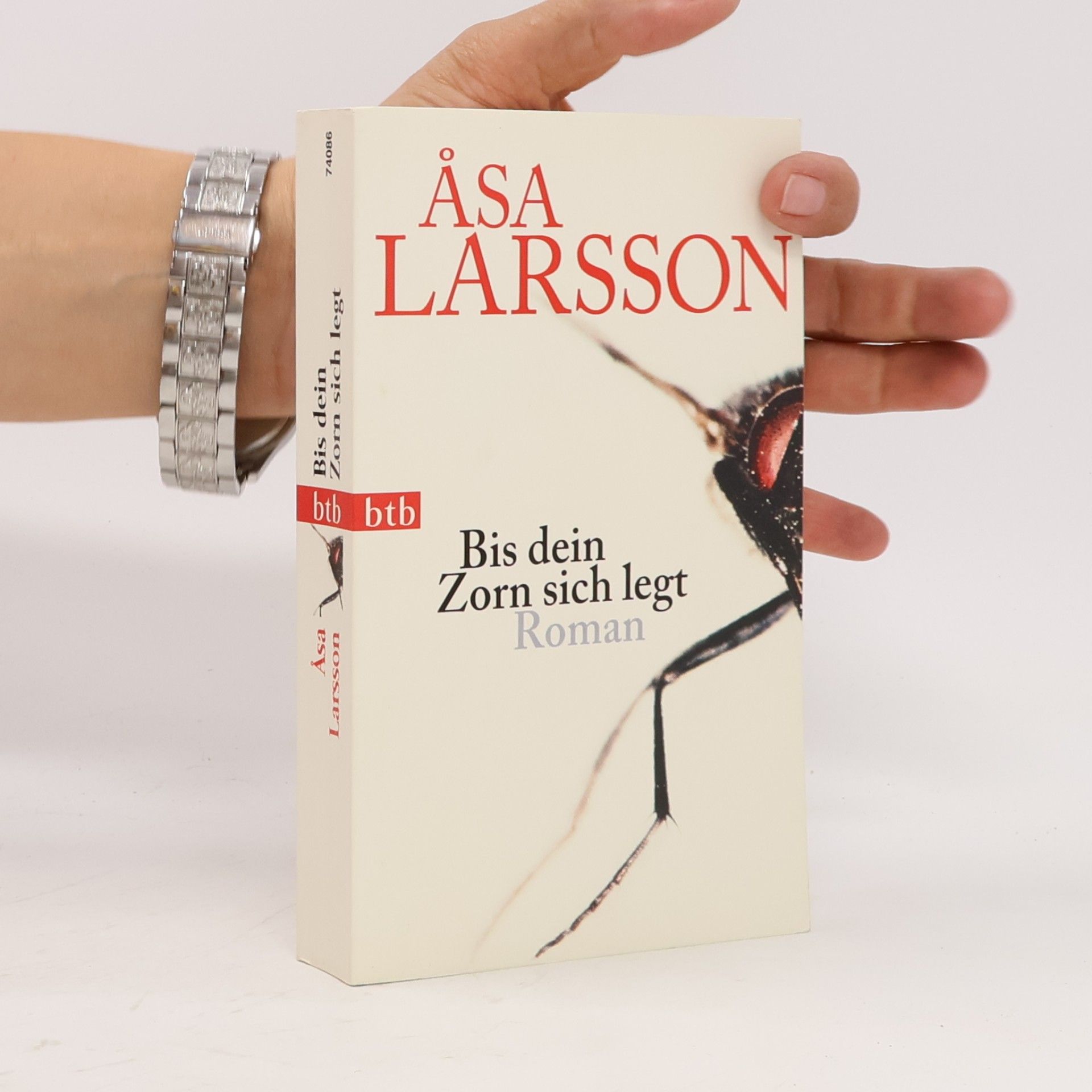 Åsa Larsson Bis dein Zorn sich legt