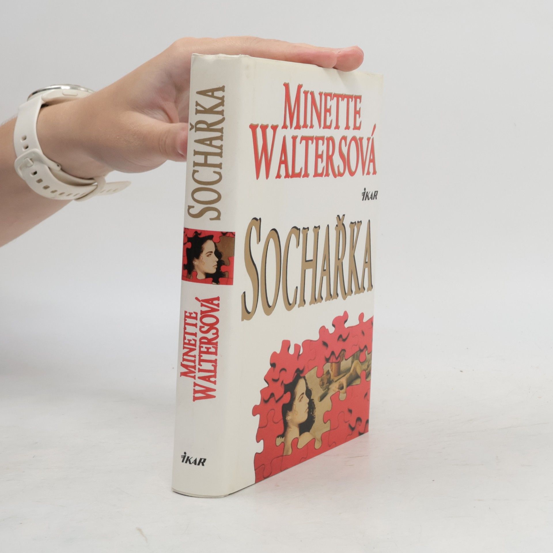 Minette Walters Sochařka