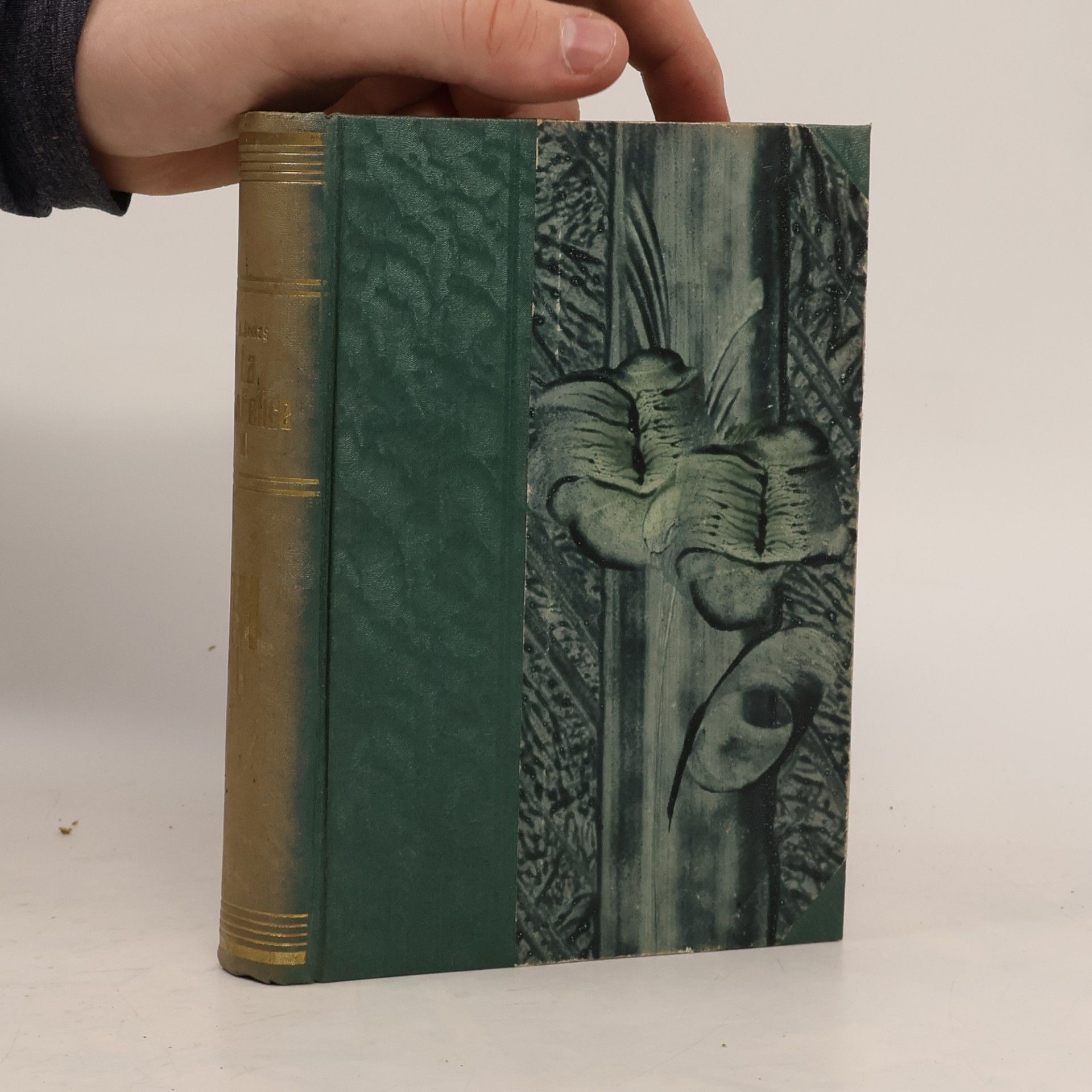 Alexandre Dumas La San Felice II.
