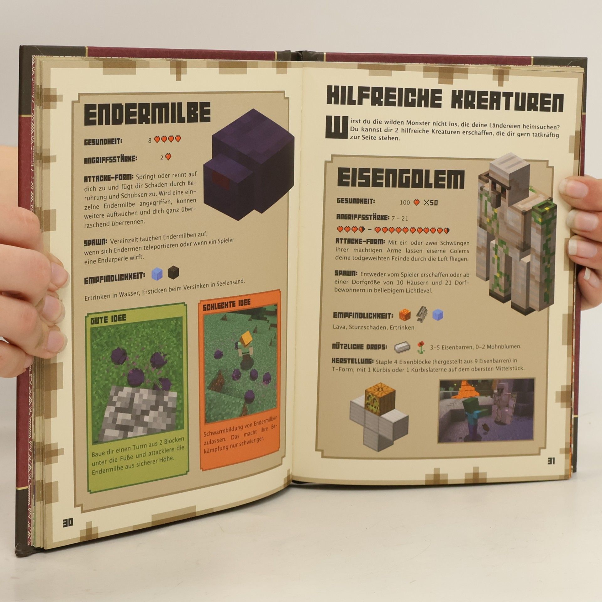 Collectif d'auteurs Minecraft