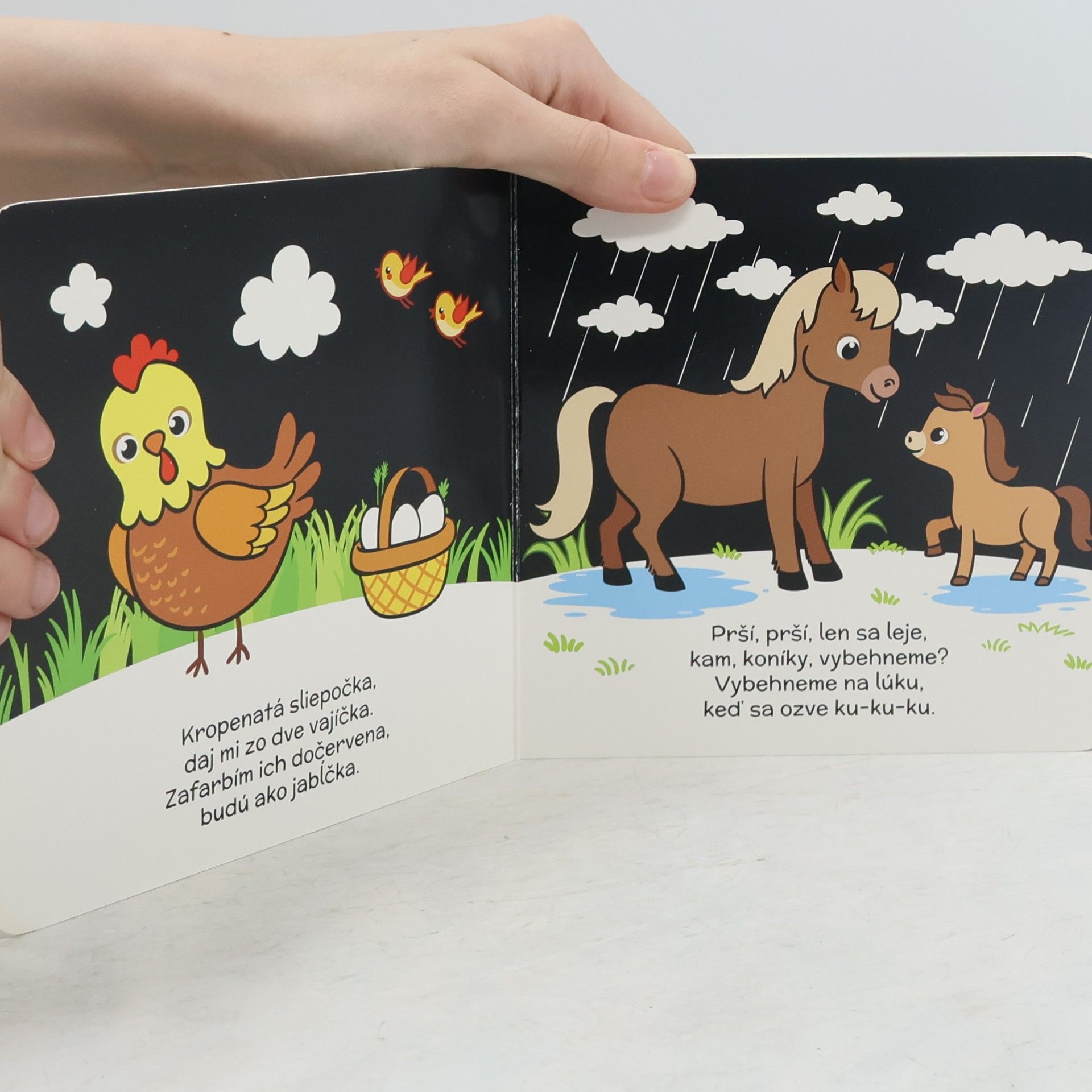 Autorenkollektiv Riekanky - zelená kniha pre batoliatka