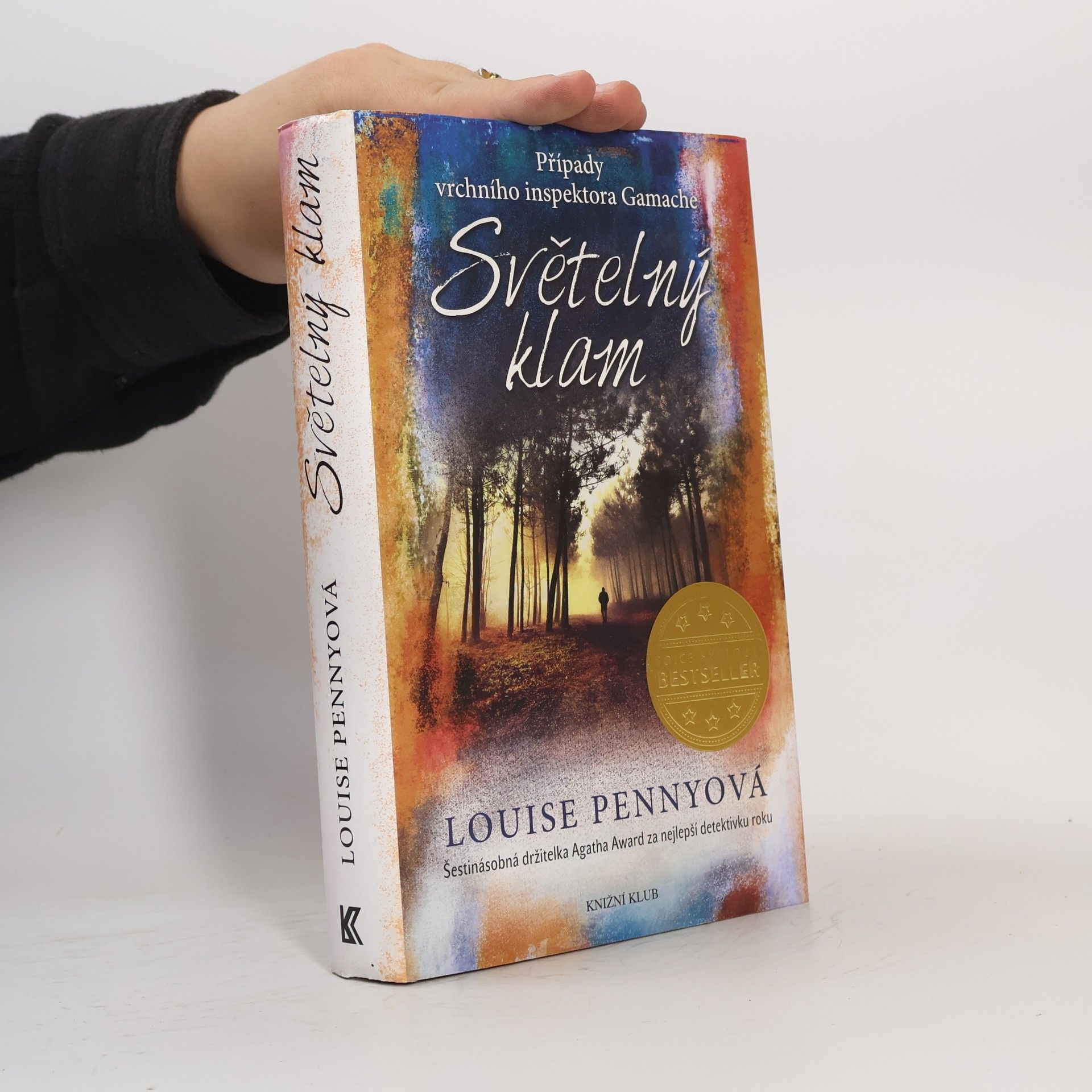 Louise Penny Světelný klam