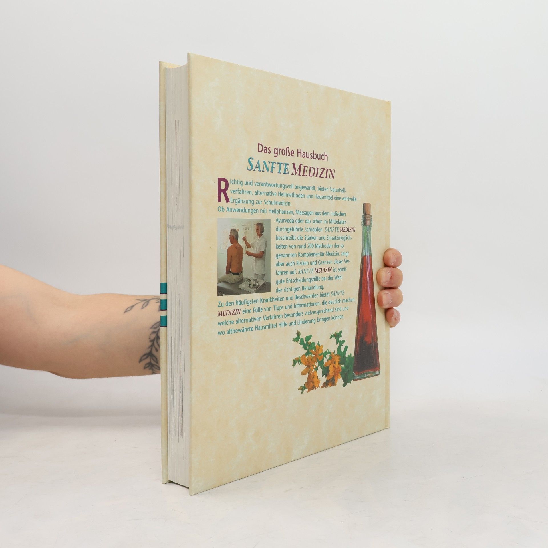 Autorenkollektiv Das große Hausbuch Sanfte Medizin