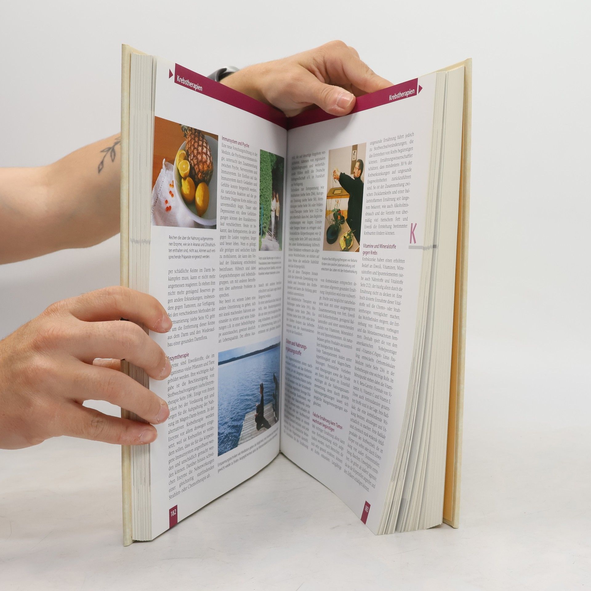 Autorenkollektiv Das große Hausbuch Sanfte Medizin