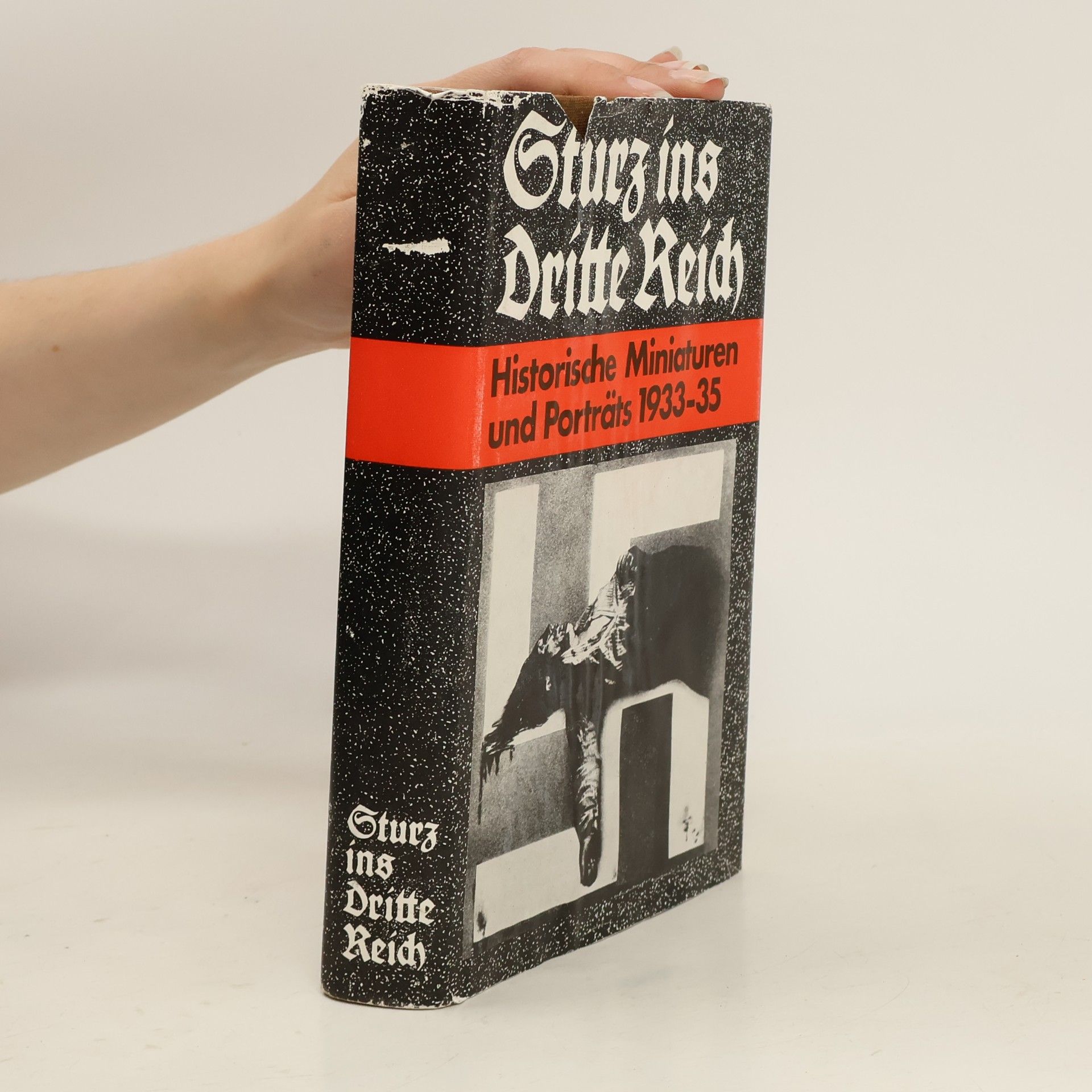 Autorenkollektiv Sturz ins dritte Reich. Historische Miniaturen und Porträts 1933/35