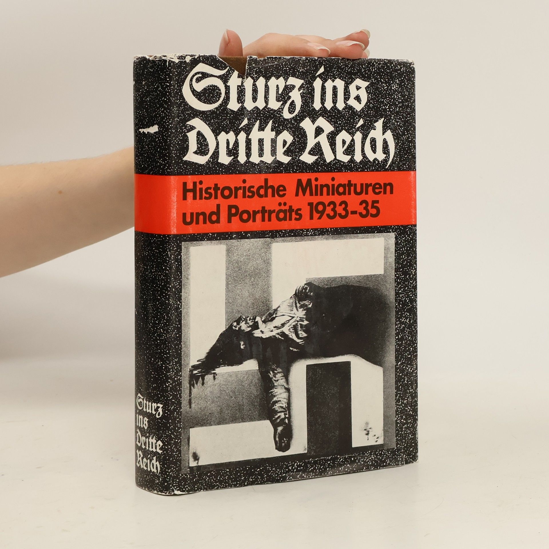 Autorenkollektiv Sturz ins dritte Reich. Historische Miniaturen und Porträts 1933/35