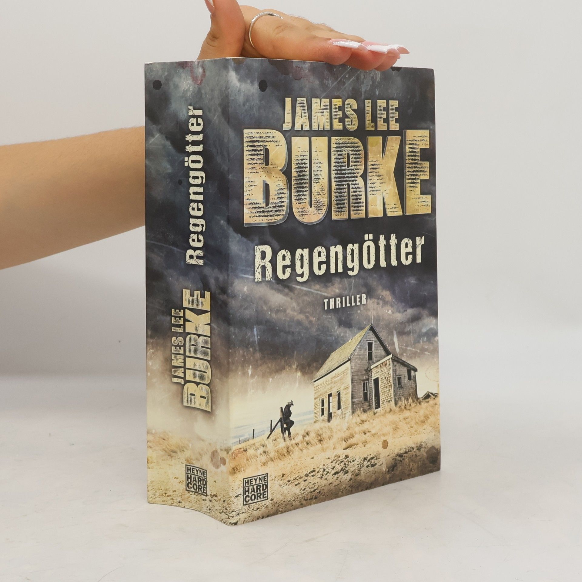 James Lee Burke Regengötter