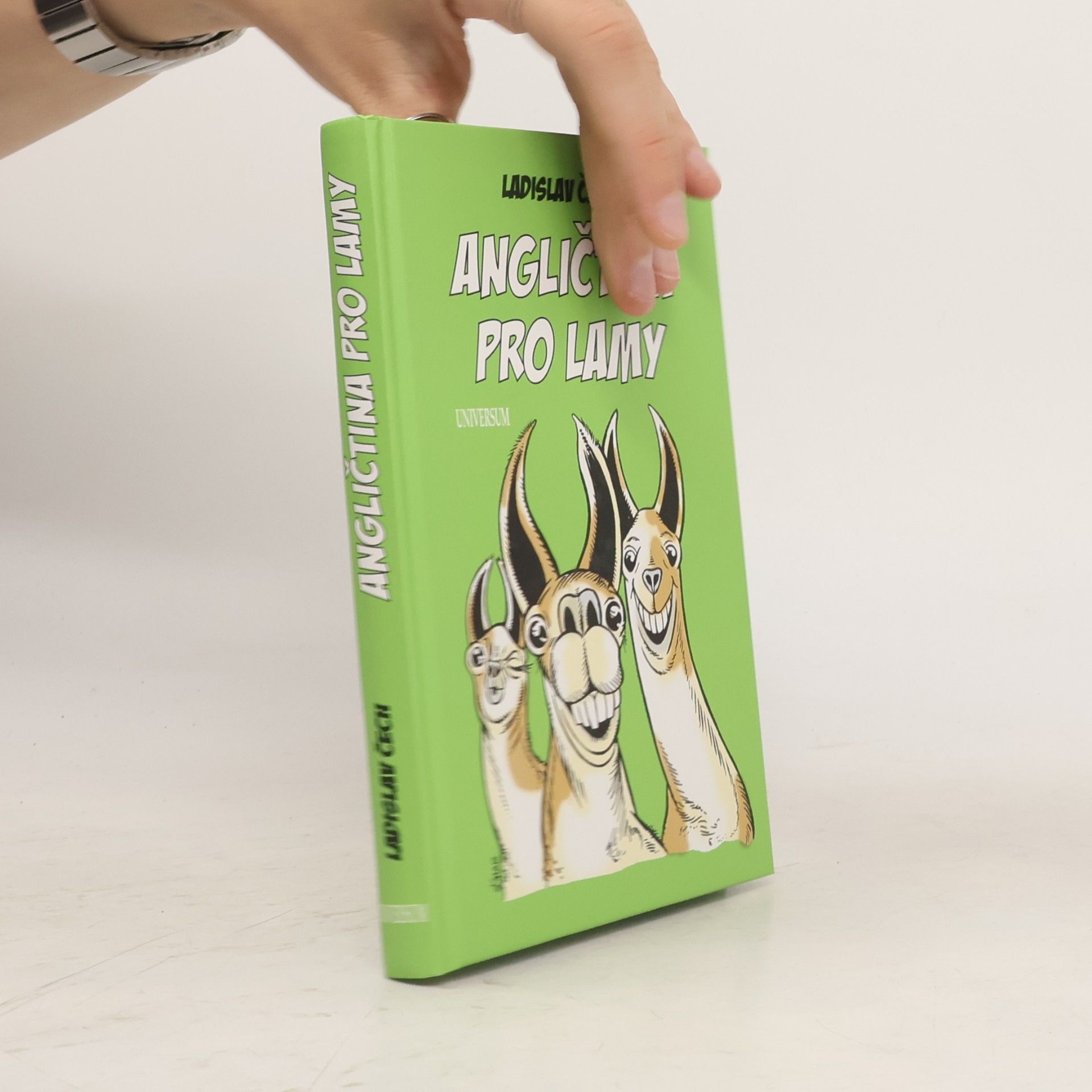 Ladislav Čech Angličtina pro lamy