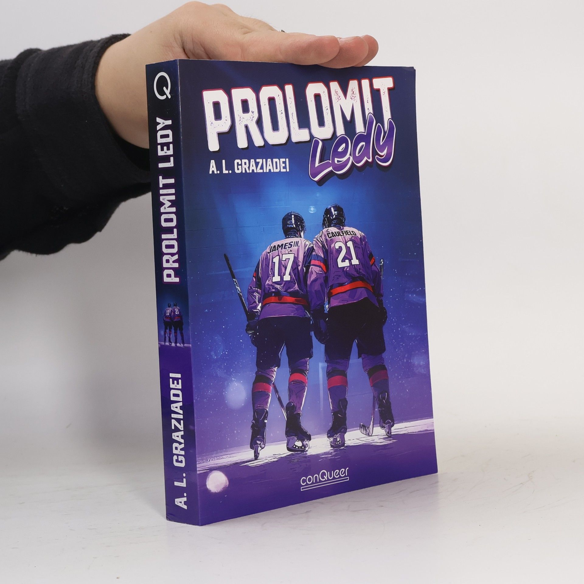 Prolomit ledy