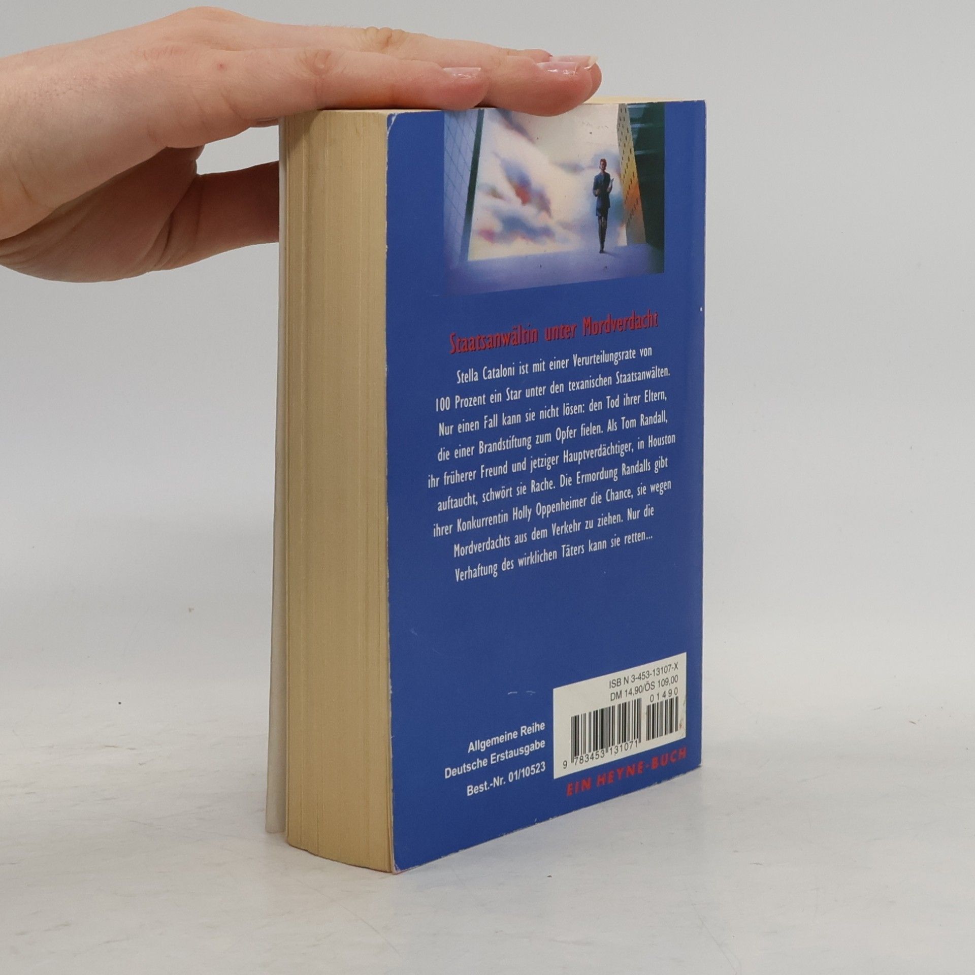 Nancy Taylor Rosenberg Die Feuerprobe