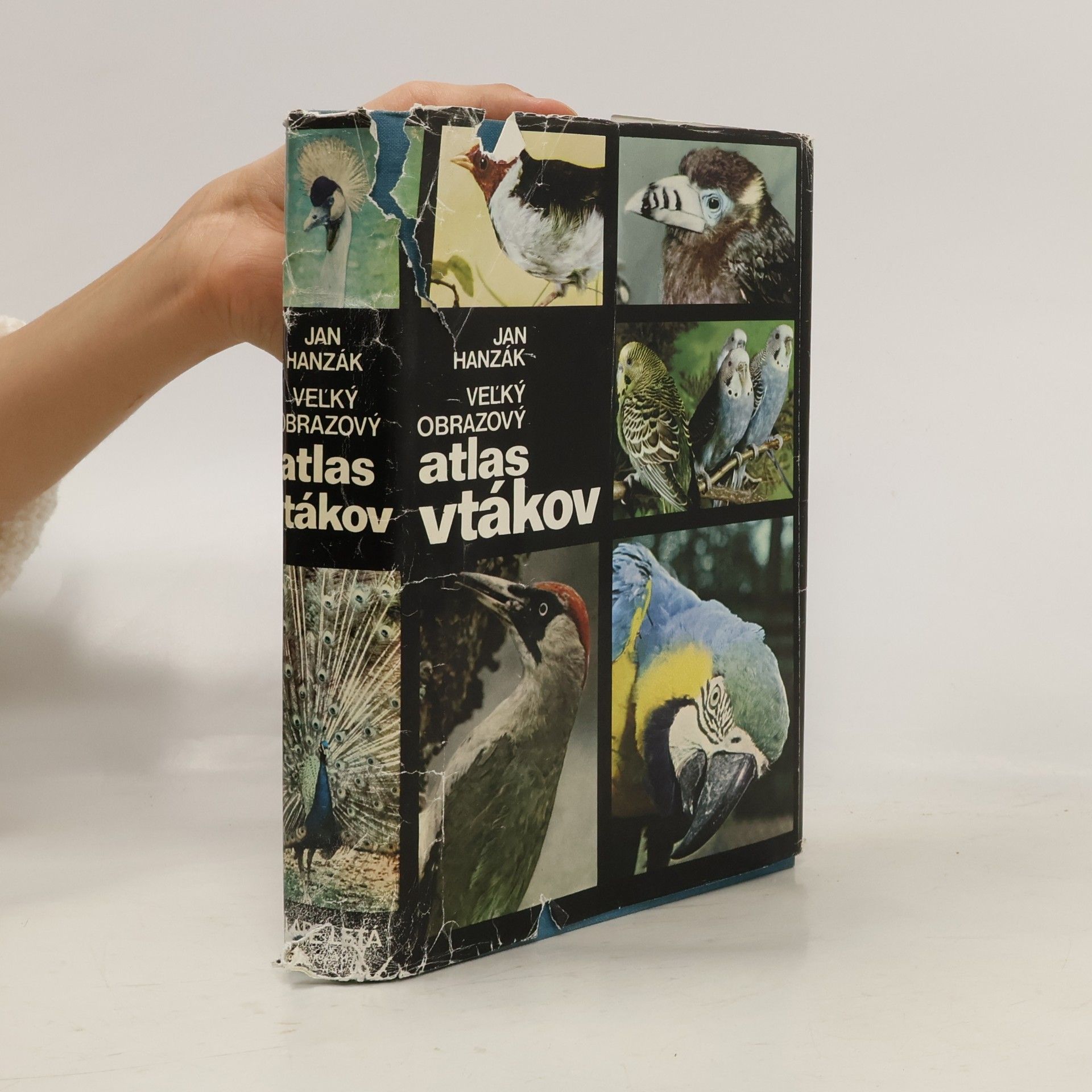 Jan Hanzák Veľký obrazový atlas vtákov