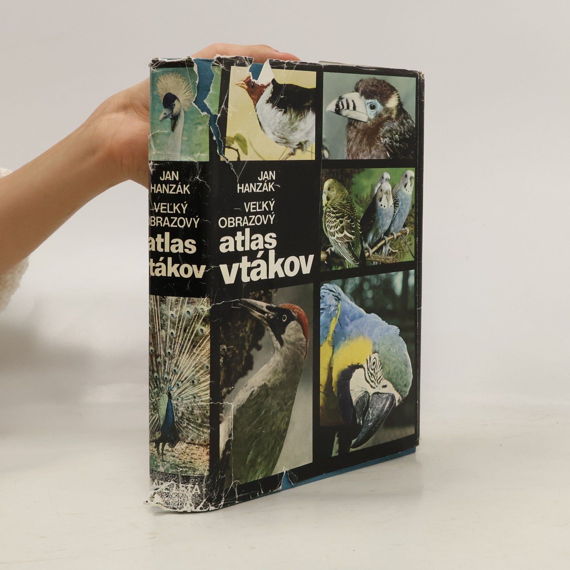 Jan Hanzák Veľký obrazový atlas vtákov