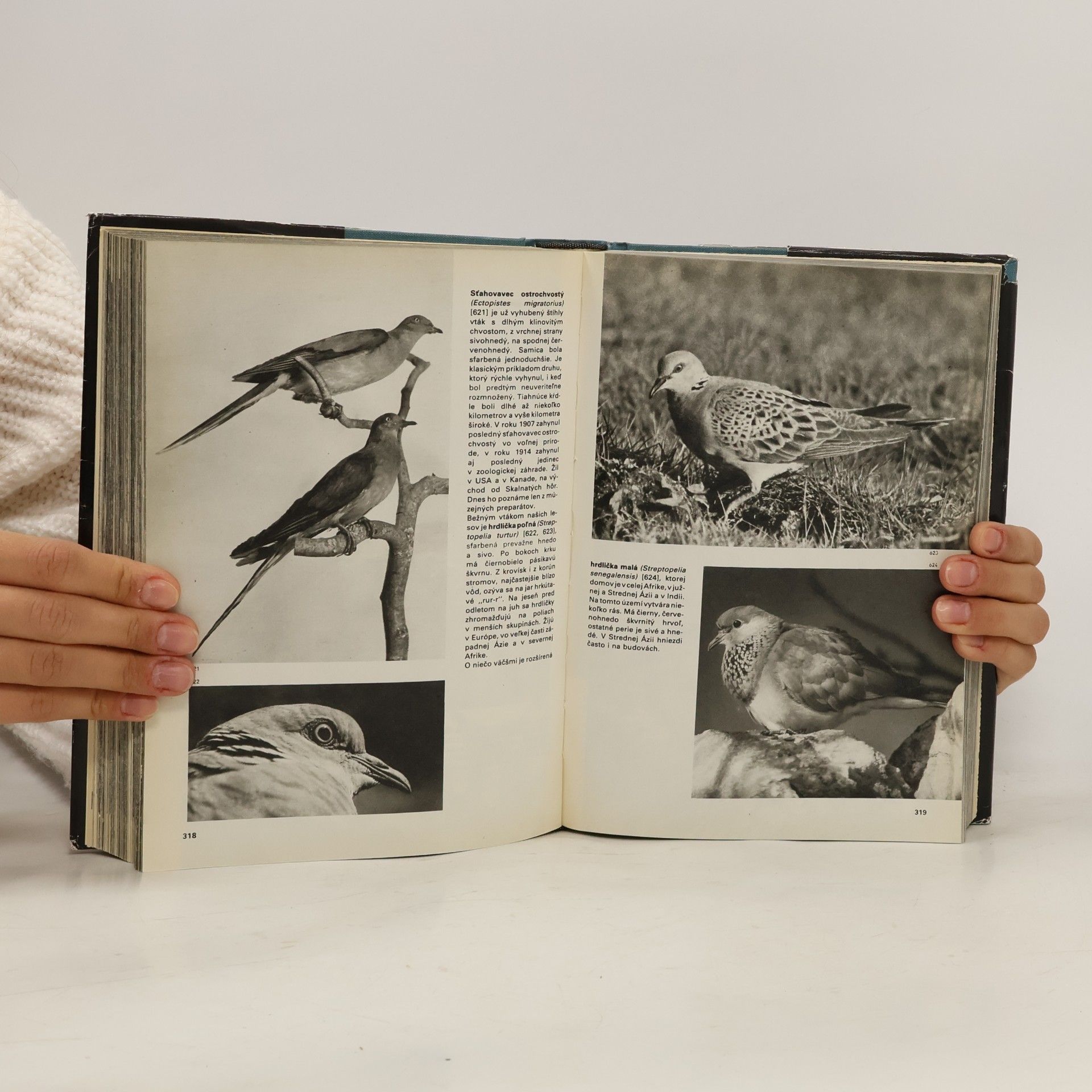 Jan Hanzák Veľký obrazový atlas vtákov