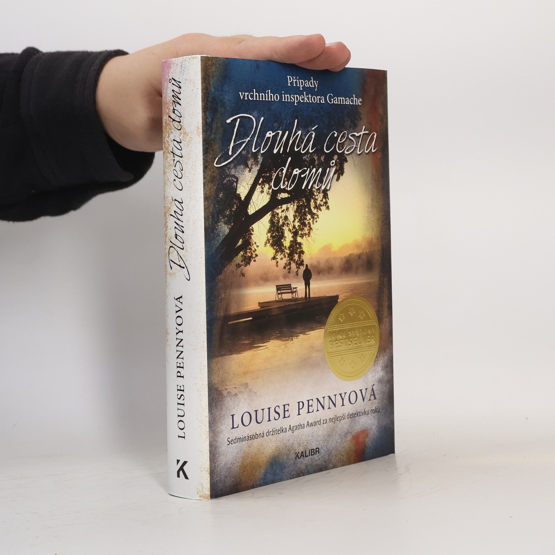 Louise Penny Dlouhá cesta domů