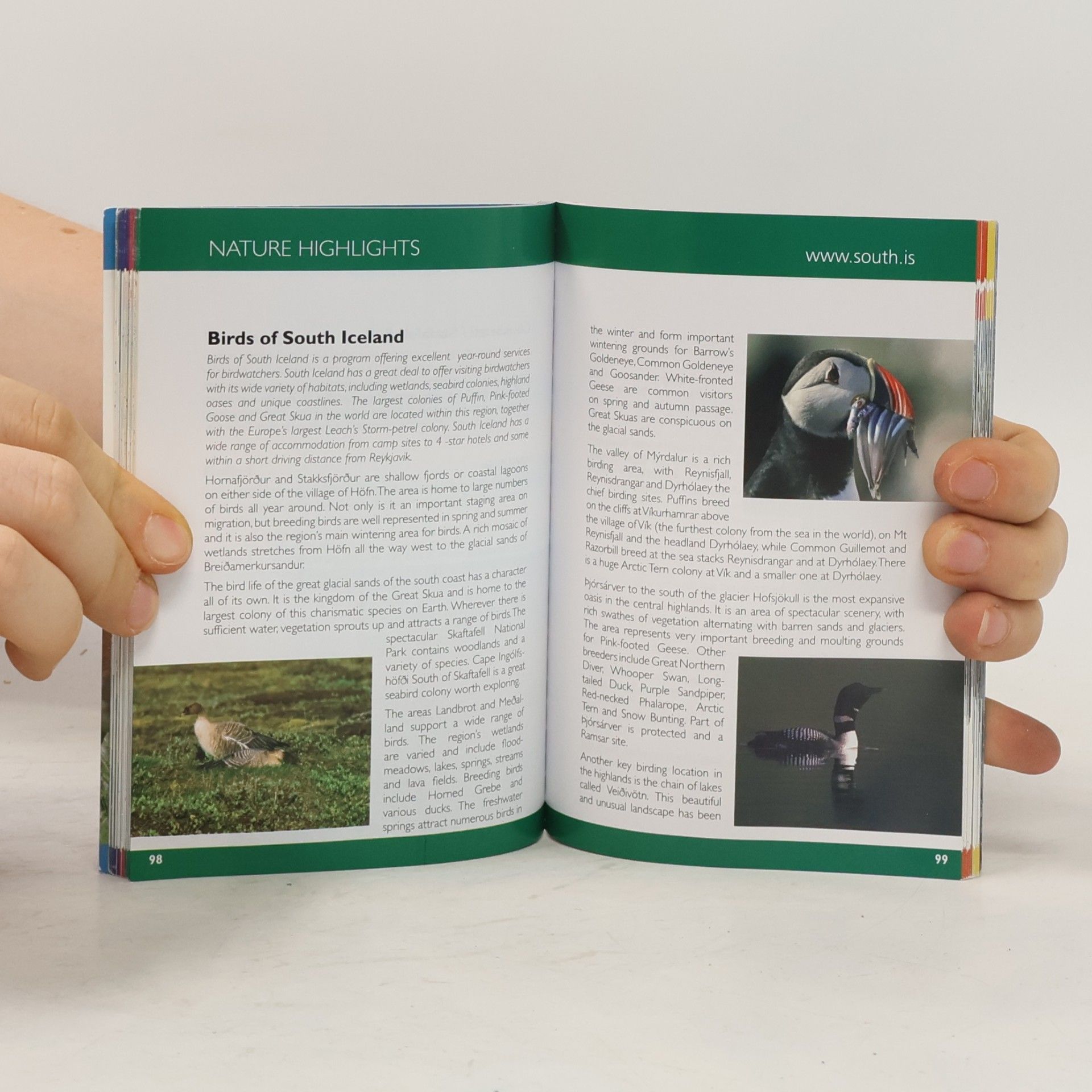AA.VV. South Iceland: The Official Tourist Guide