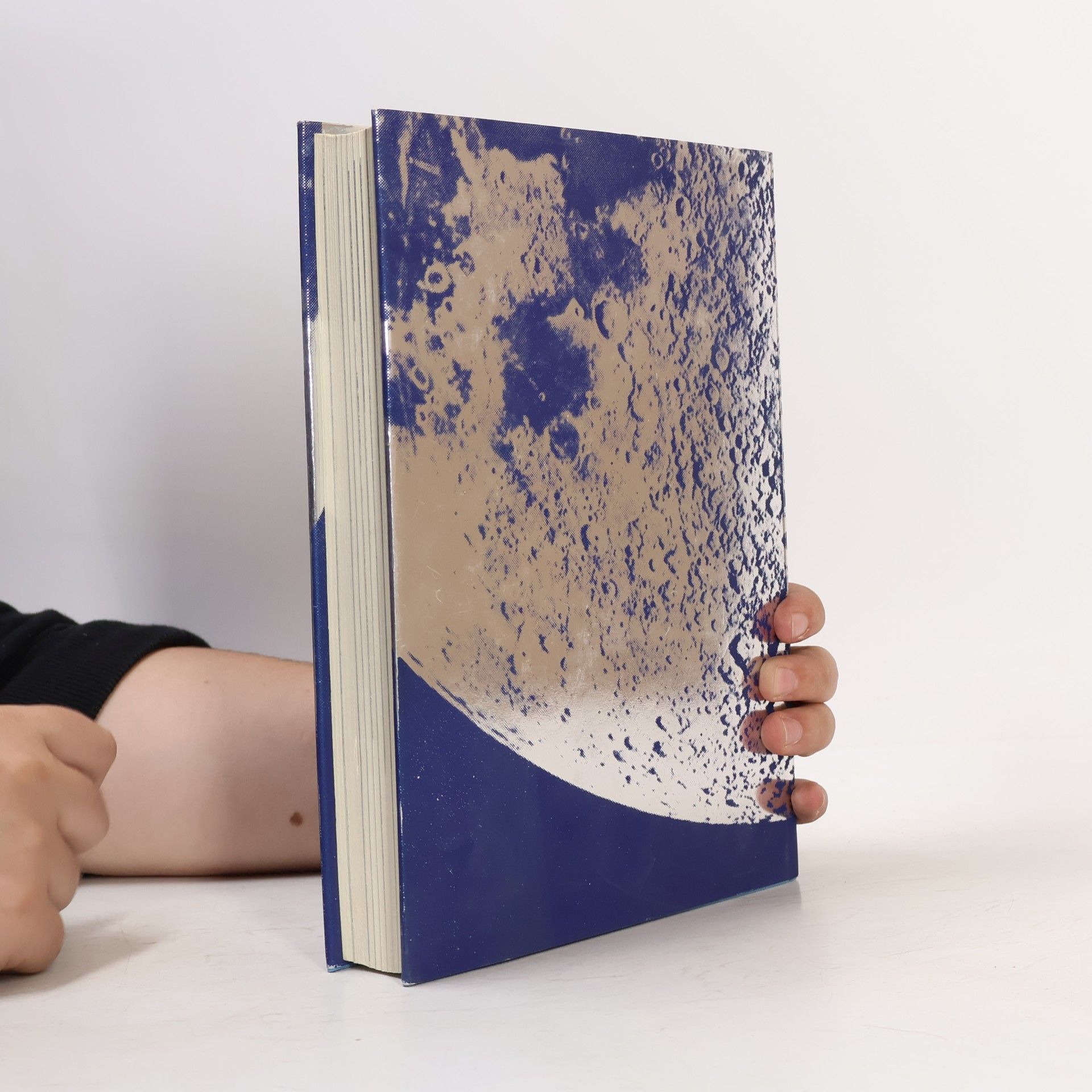 Herbert Pichler Die Mond Landung