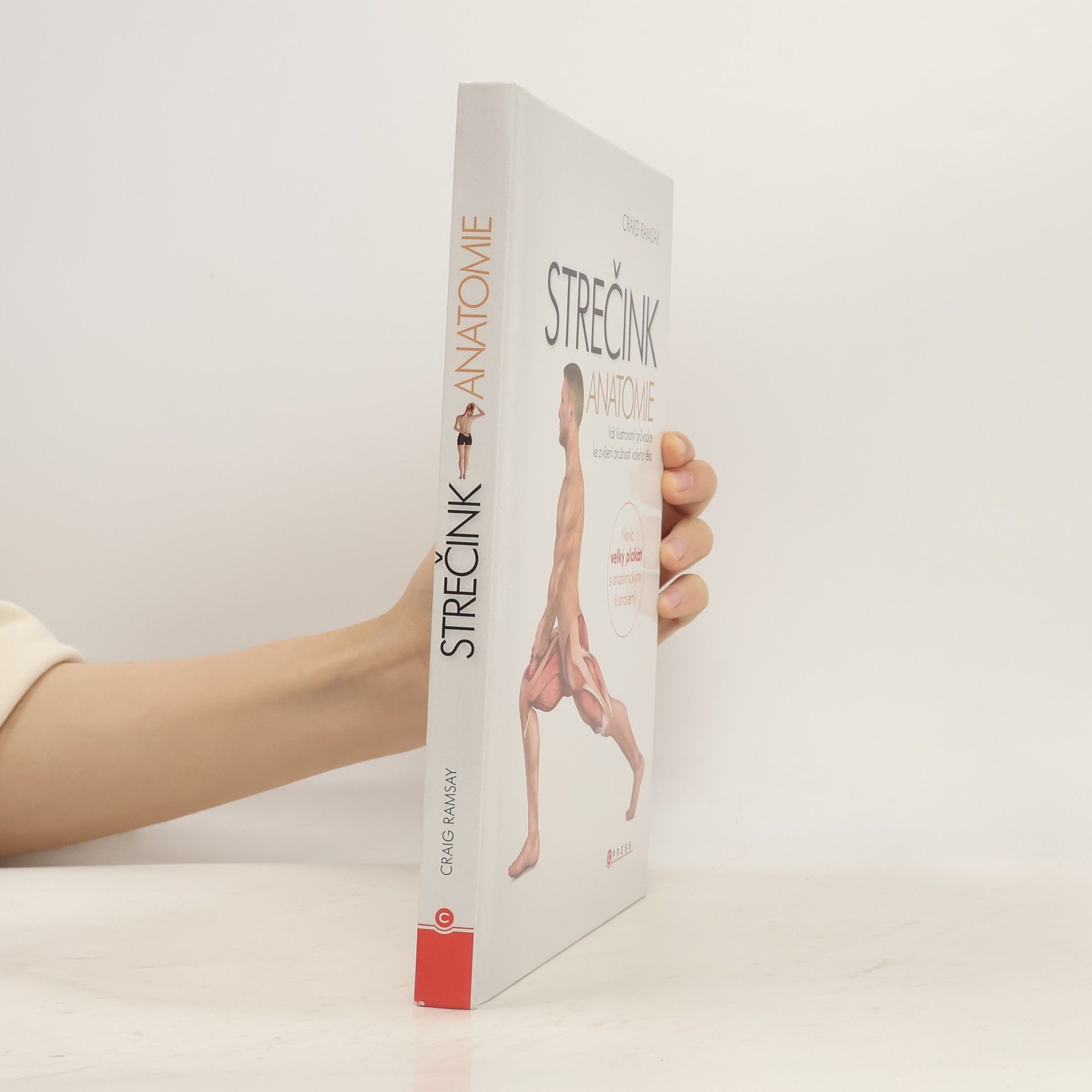 Craig Ramsay Strečink - anatomie