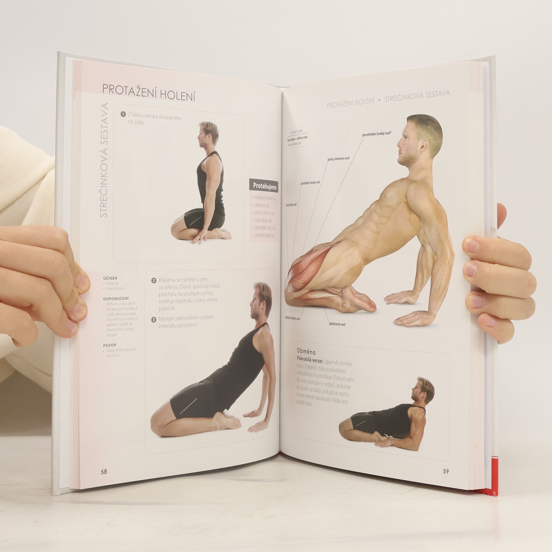 Craig Ramsay Strečink - anatomie