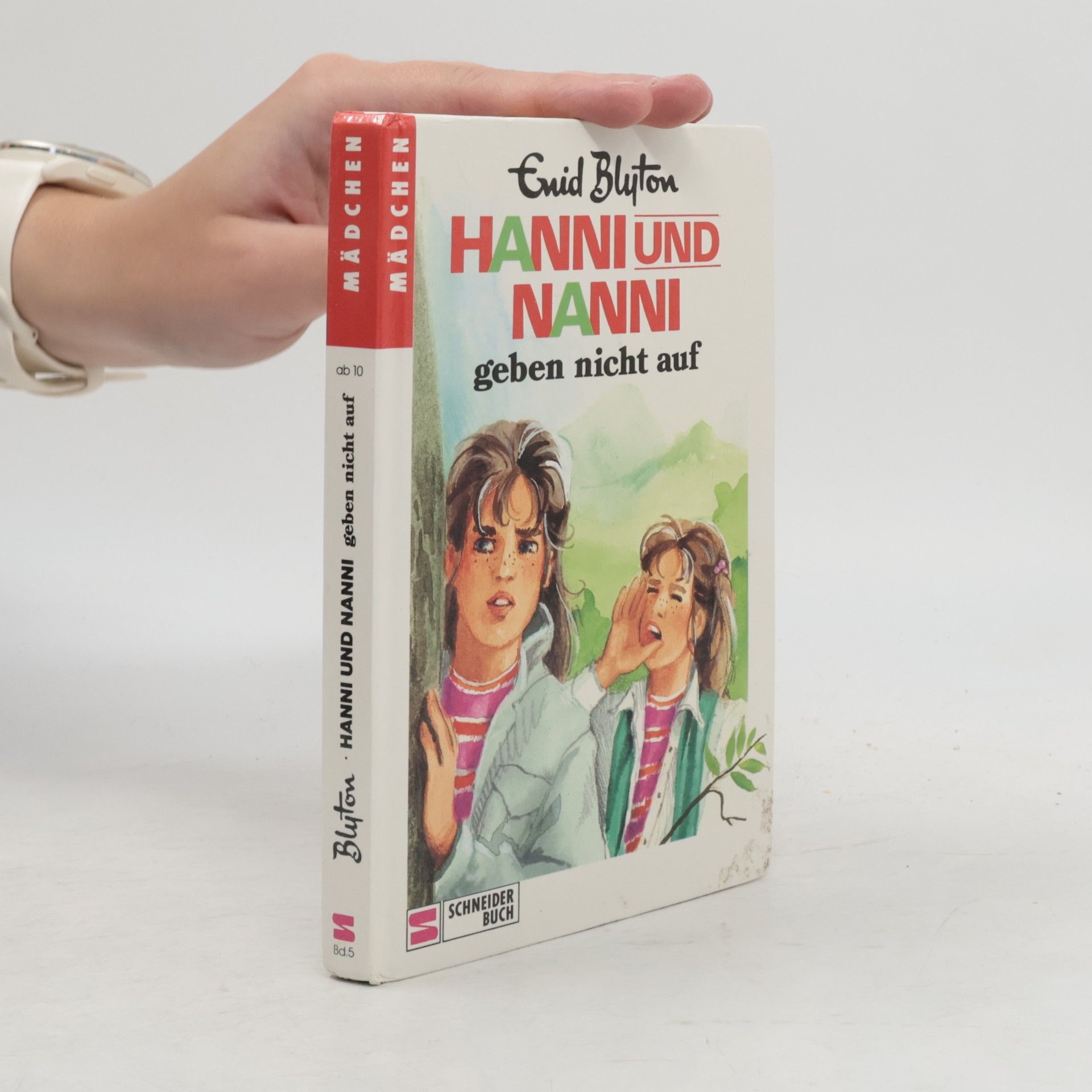 Enid Blyton Hanni und Nanni. Geben nicht auf