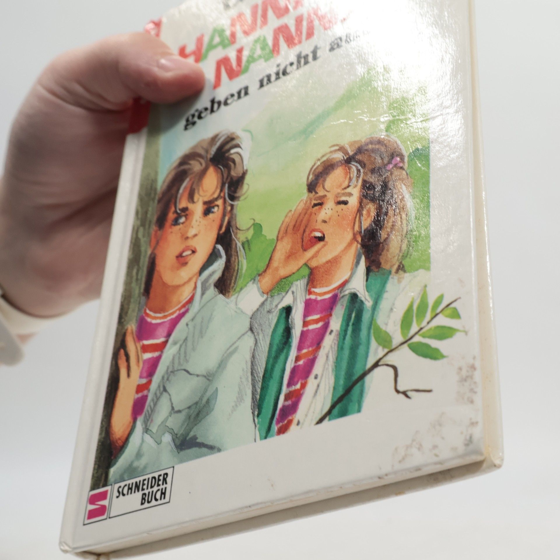 Enid Blyton Hanni und Nanni. Geben nicht auf