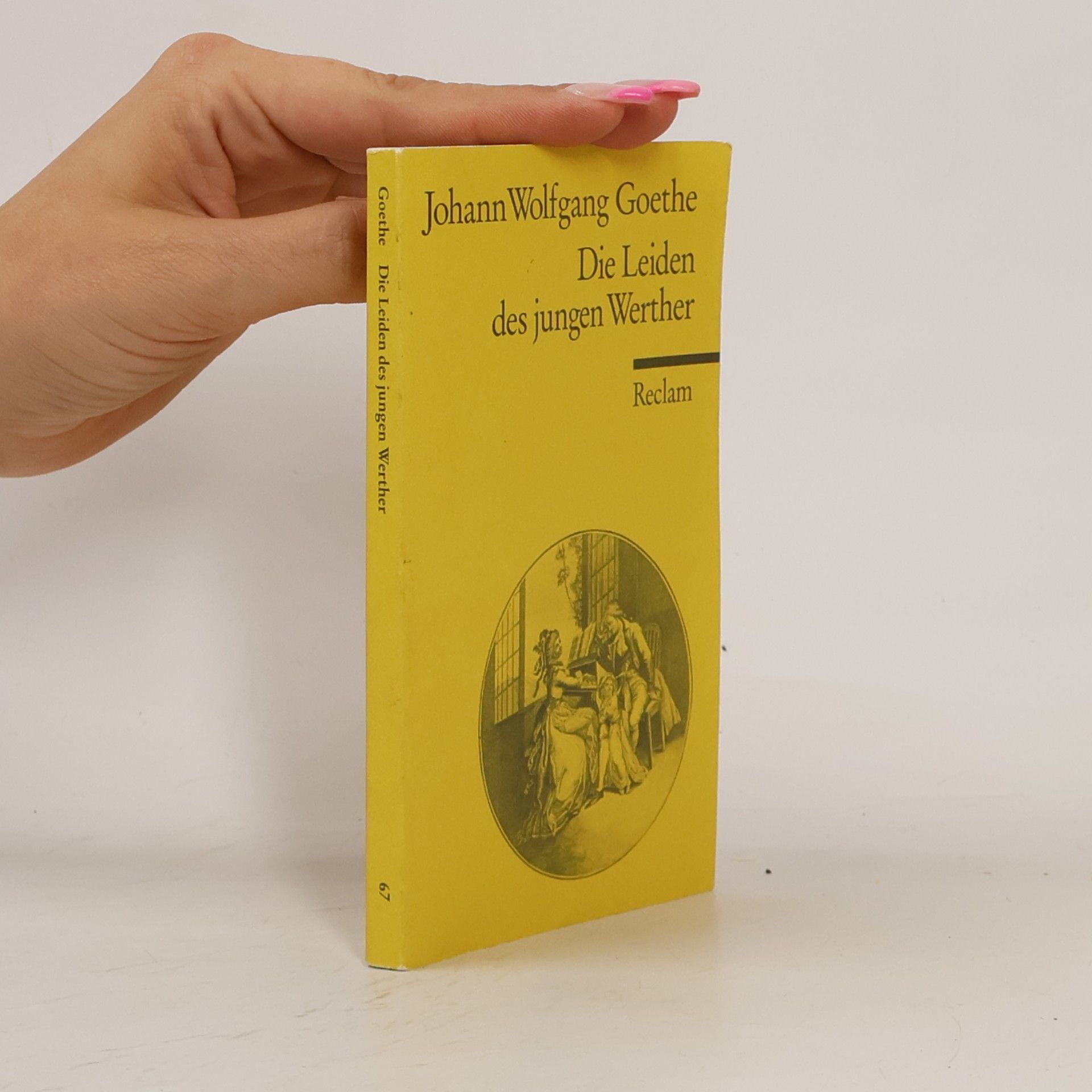 Johann Wolfgang von Goethe Die Leiden des jungen Werther