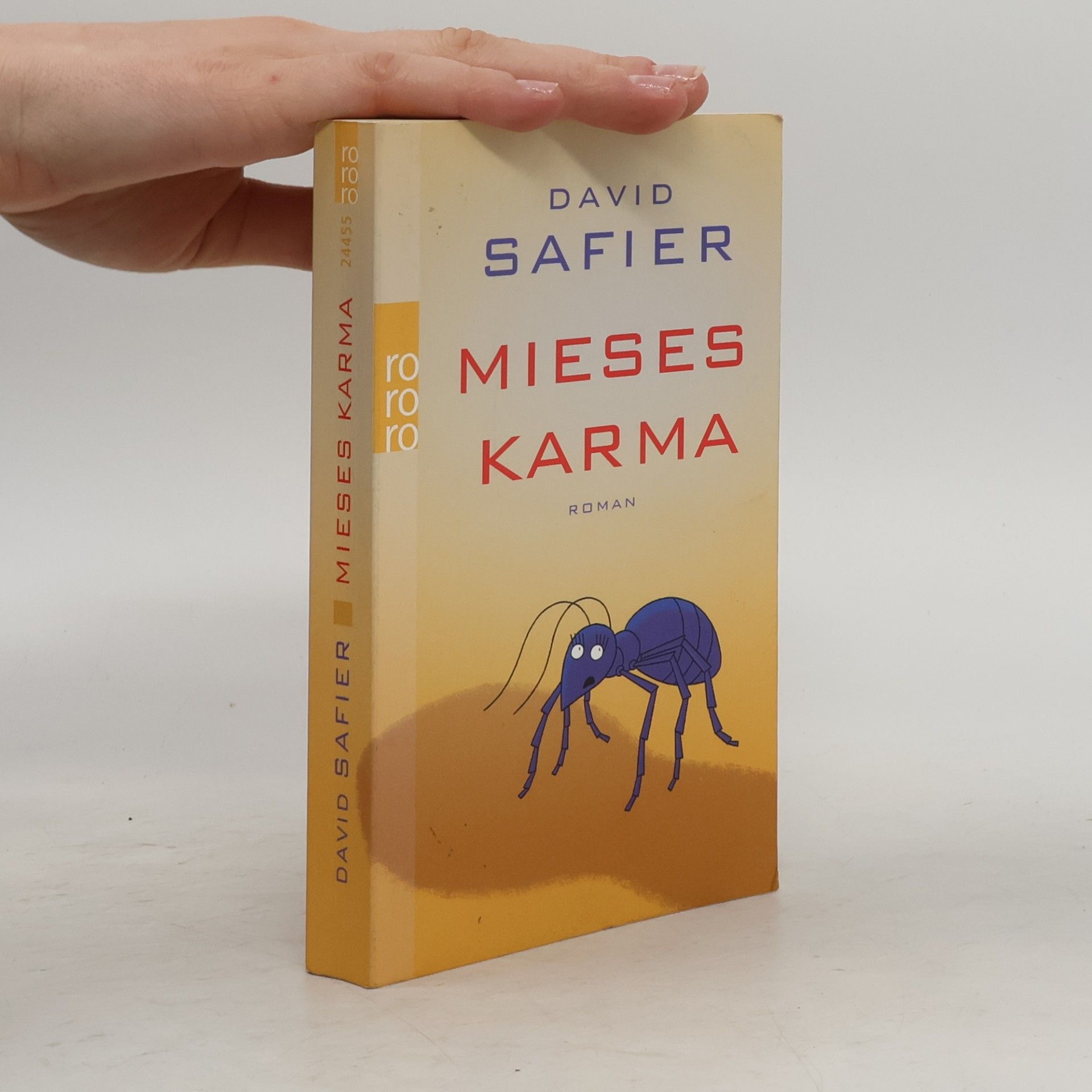 David Safier Mieses Karma