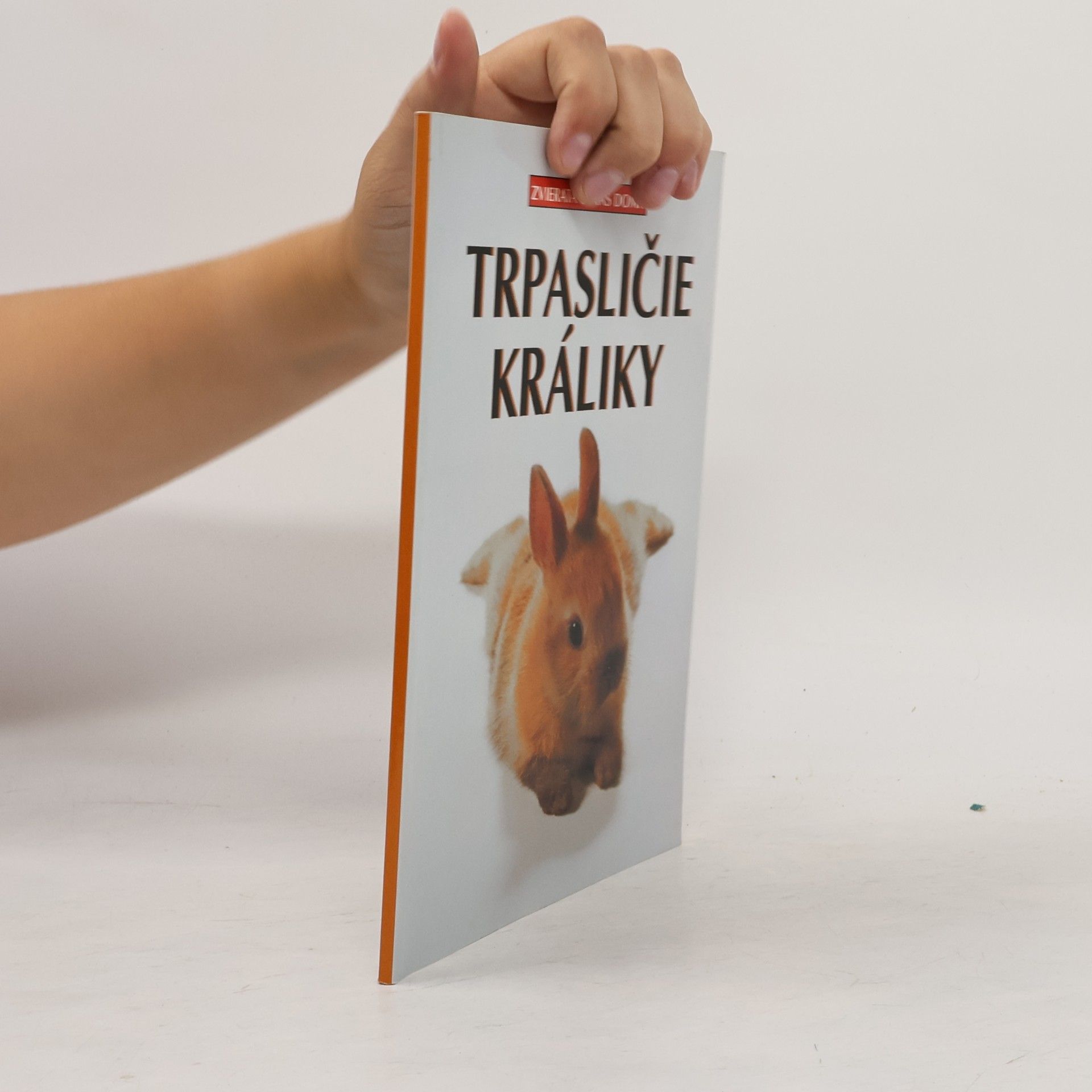 Michael Mettler Trpasličie králiky