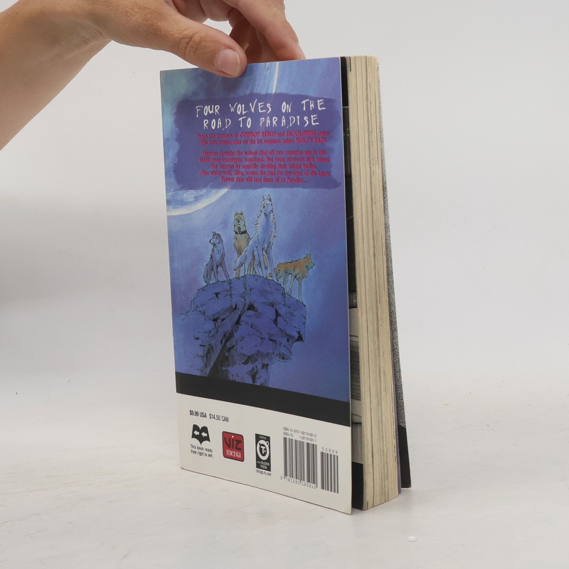 Keiko Nobumoto Wolf's Rain, Vol. 1
