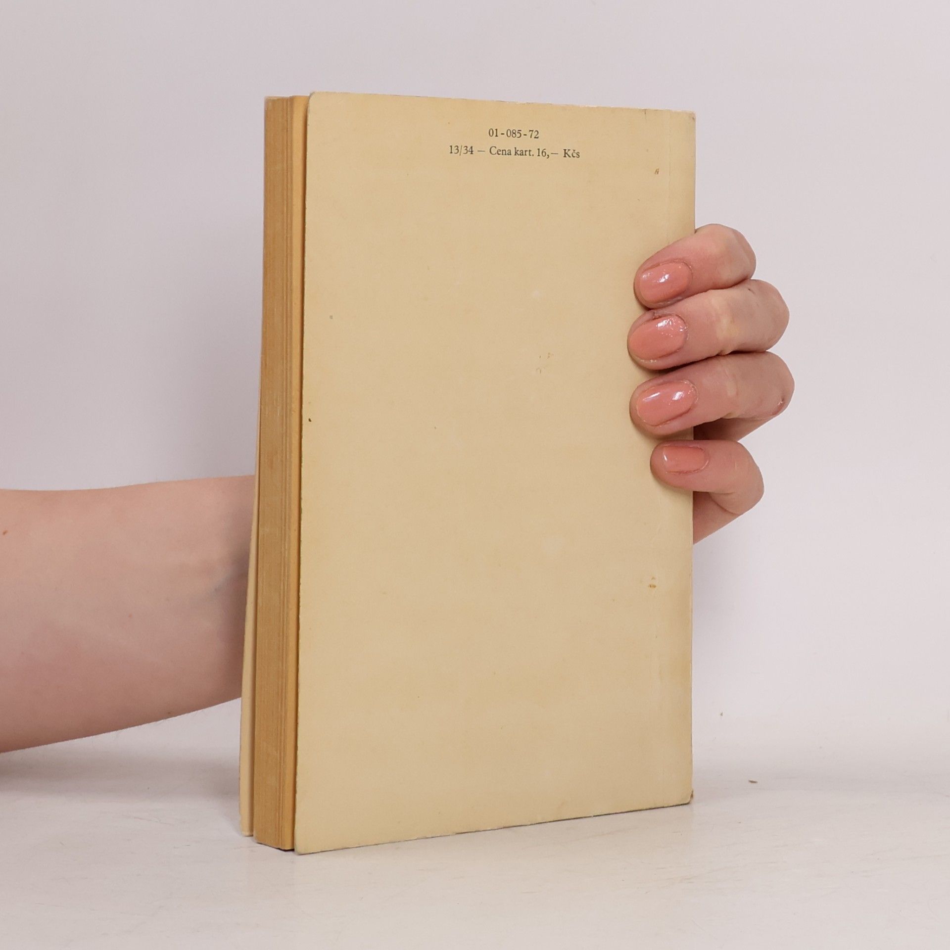 Daphne du Maurier Dům na pobřeží