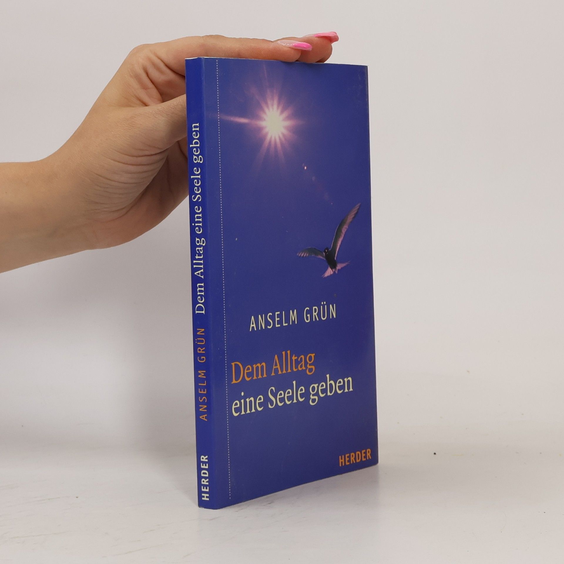 Anselm Grün Dem Alltag eine Seele geben