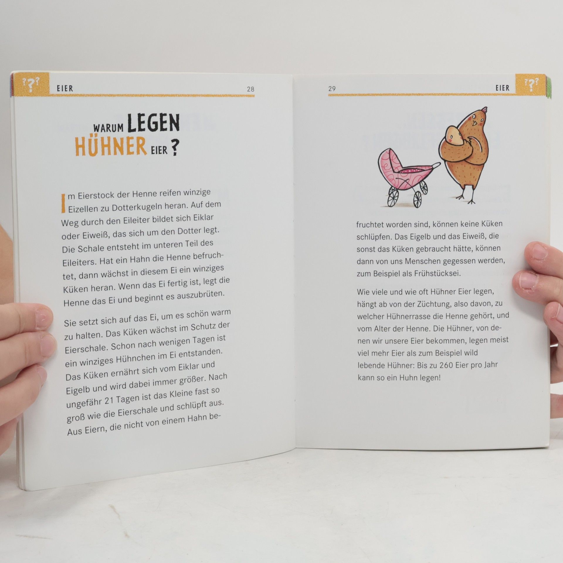 Autorenkollektiv Wo ist das Meer bei Ebbe?