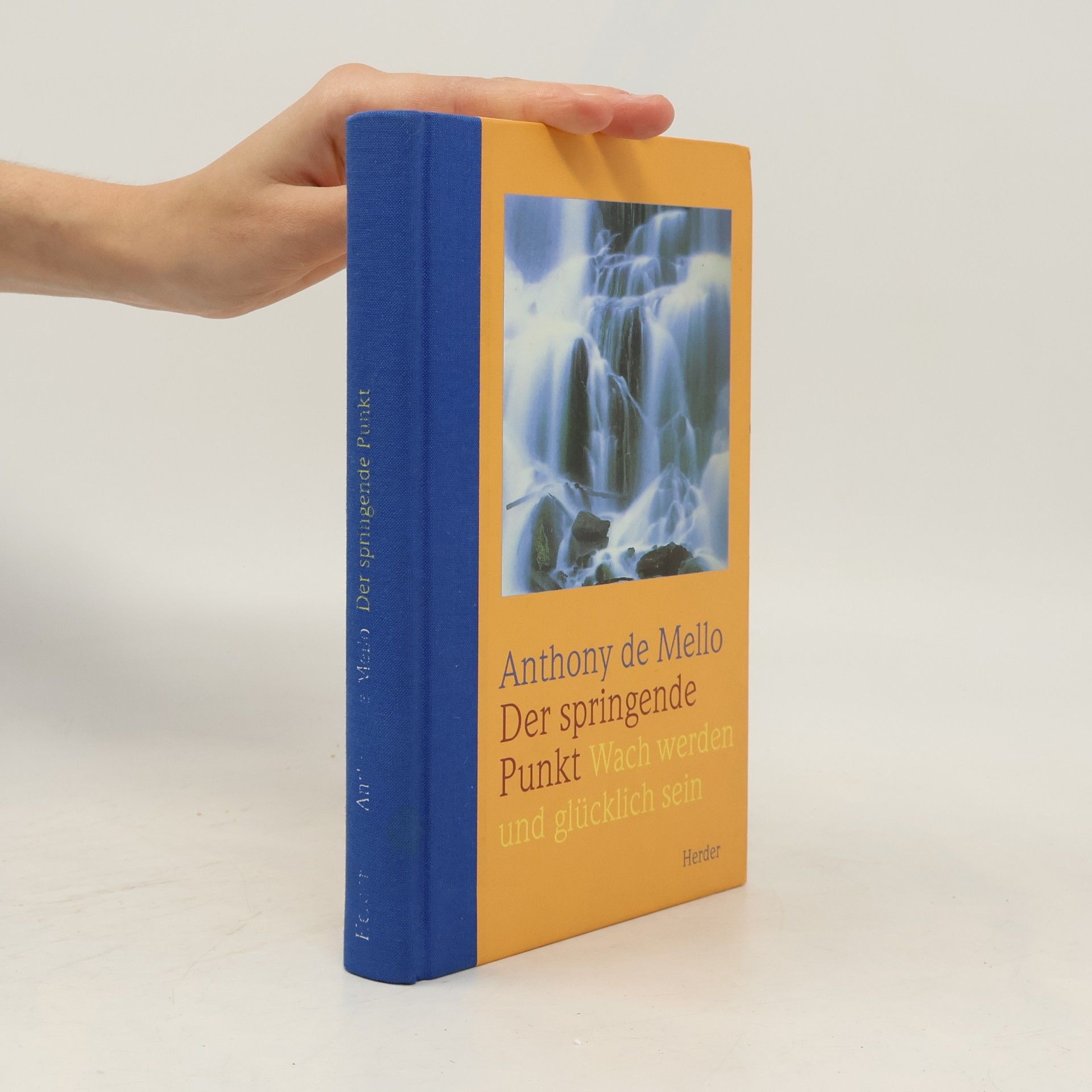 Anthony De Mello Der springende Punkt